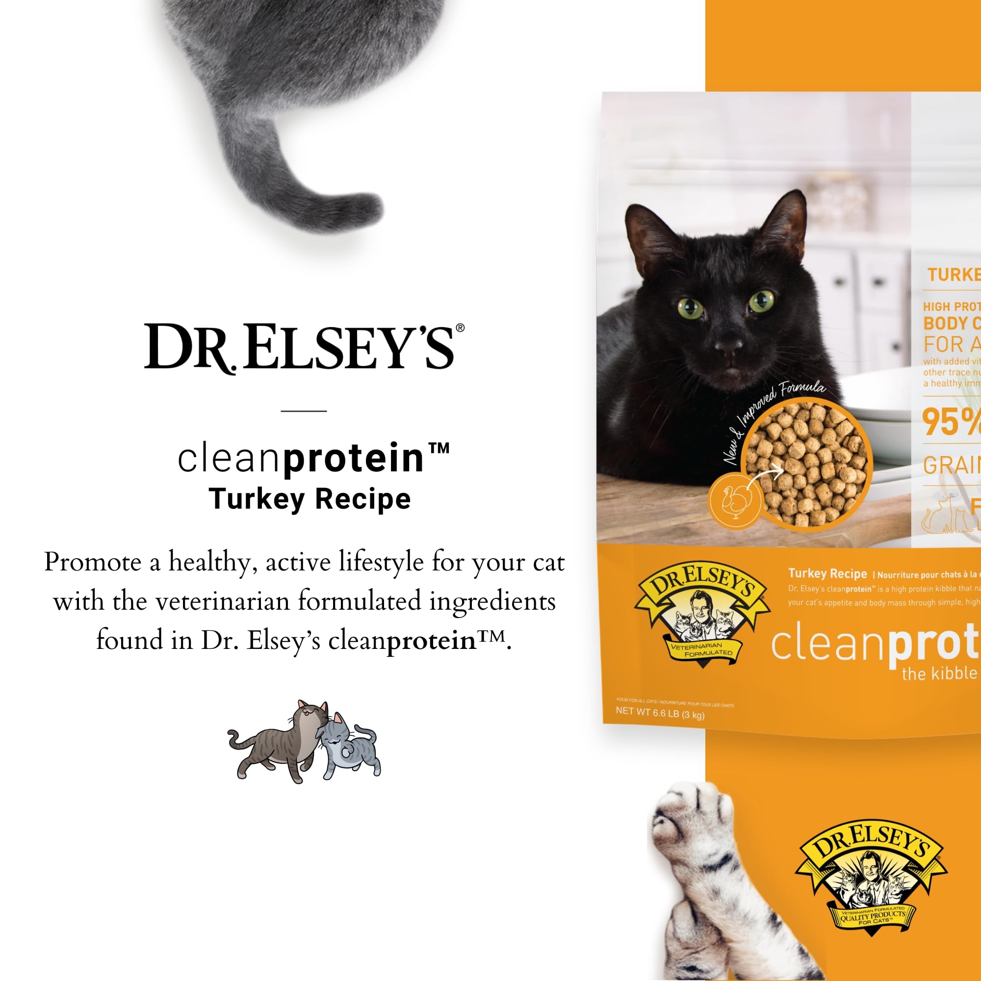 Dr. Elseys Clean Protein Turkey Dry Cat Food - Cat Kibble Dry Food for All Cats -Protein-Rich Healthy Cat Food w/Natural Ingred