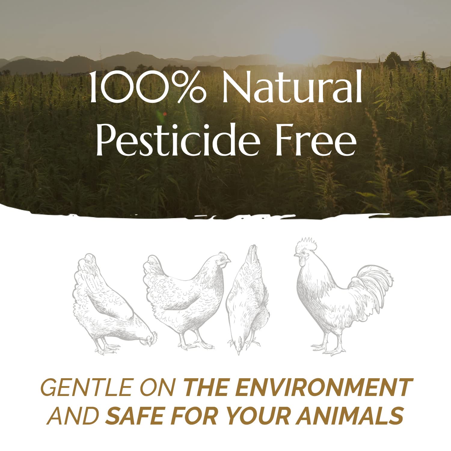 High Grade French Hemp Bedding, 44Lb Jumbo Bulk Bag Of Extremely Low Dust Shavings For Horses, Chickens, Small Animals, Rats, Guinea Pigs, Bunny Rabbits, Reptiles, Good Chicken Coop Bedding