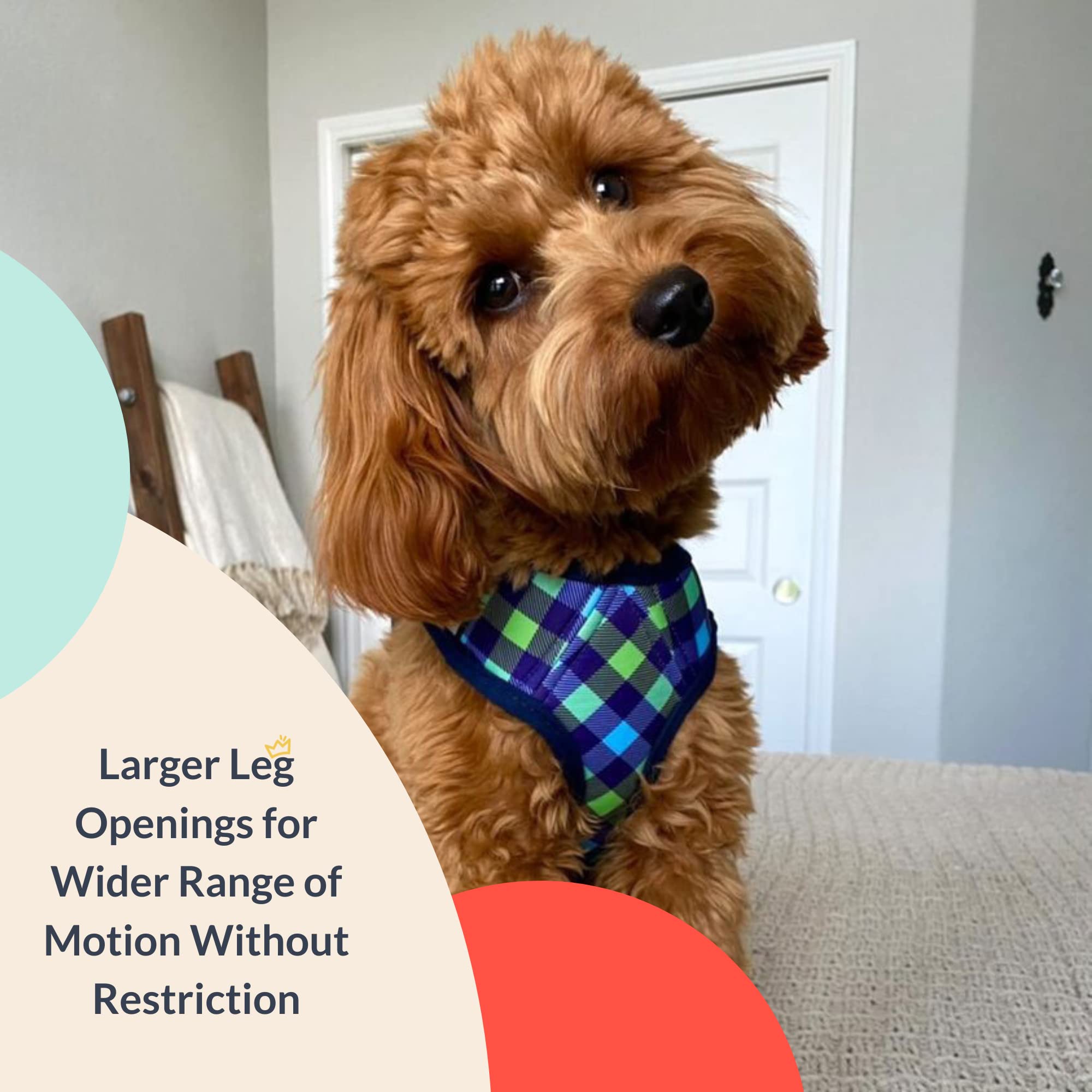 Huxley & Kent Hudson Walking & Training Harness - Blue/Green Check (Large, 22-35Lbs) - Easy Control Step-In Mesh Vest Harness Wi