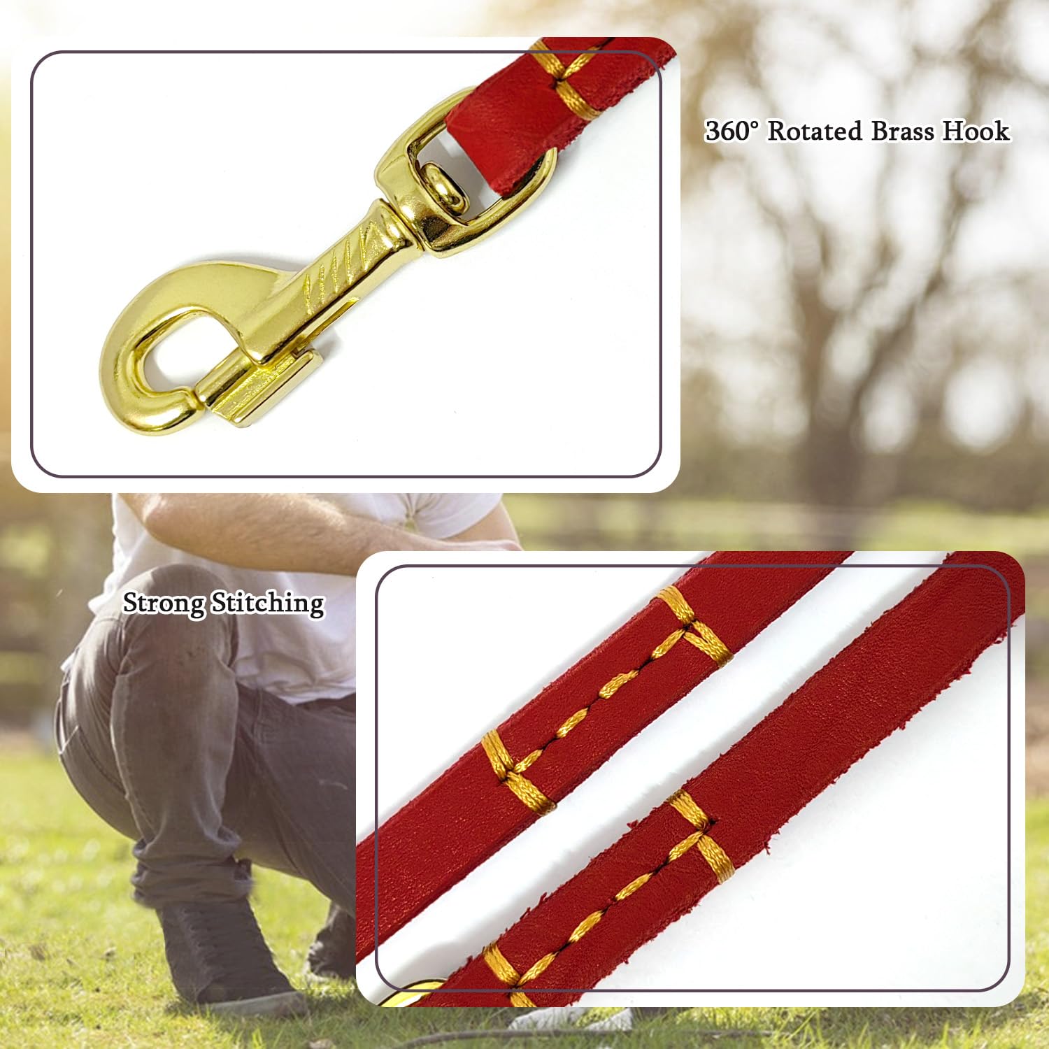 Lwbmg 4Ft Leather Dog Leash For Small Dogs, Genuine Leather Leash For Small & Medium Dogs, Red