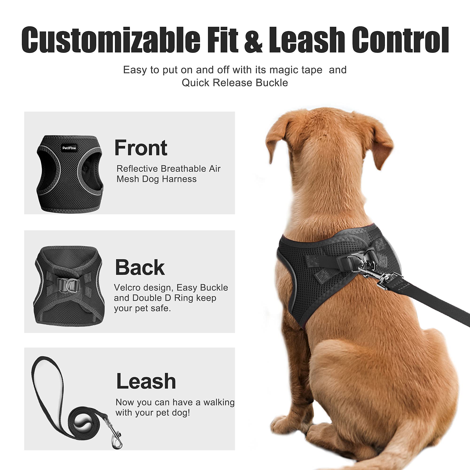 Petifine Extra Small Step In Dog Harness And Leash Set, Cat Harness And Leash Escape Proof, All Weather Mesh Reflective, Step-In