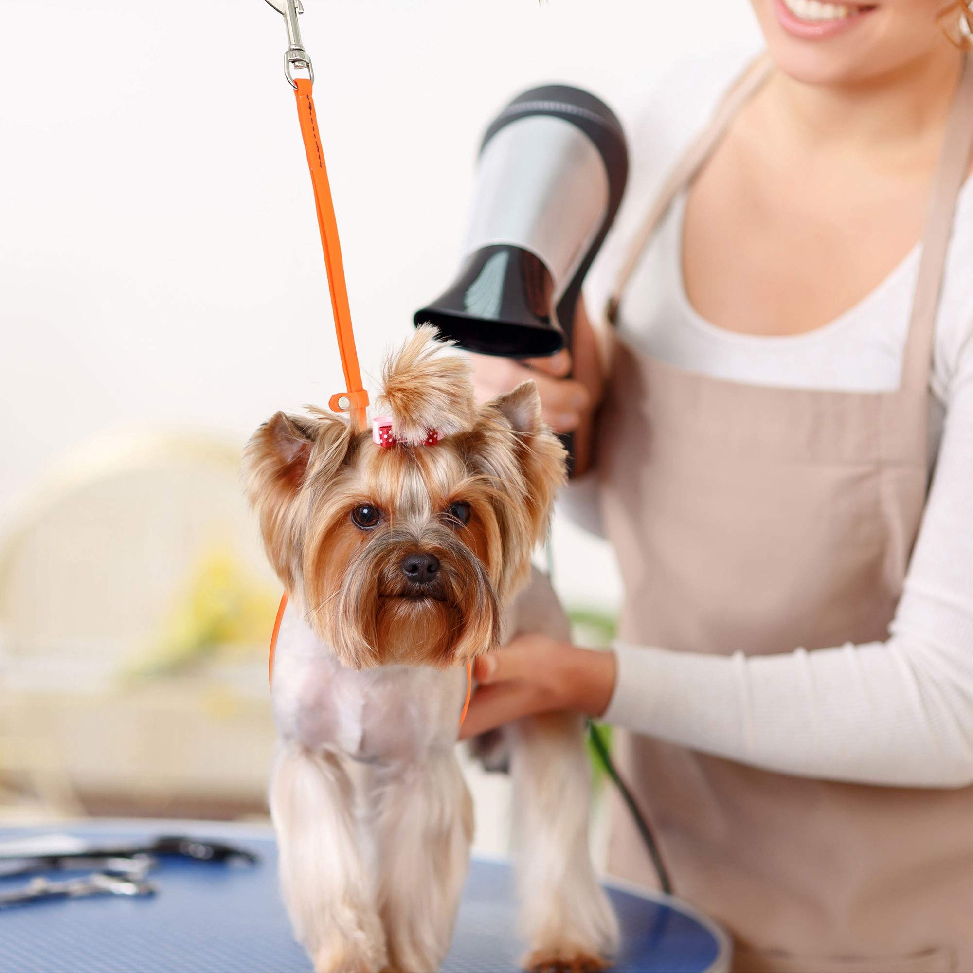 Jelly Pet Grooming Loop For Dogs | Fits Most Pet Grooming Tubs/Tables | Easy To Clean, Waterproof & Durable Noose Loop | Stronge