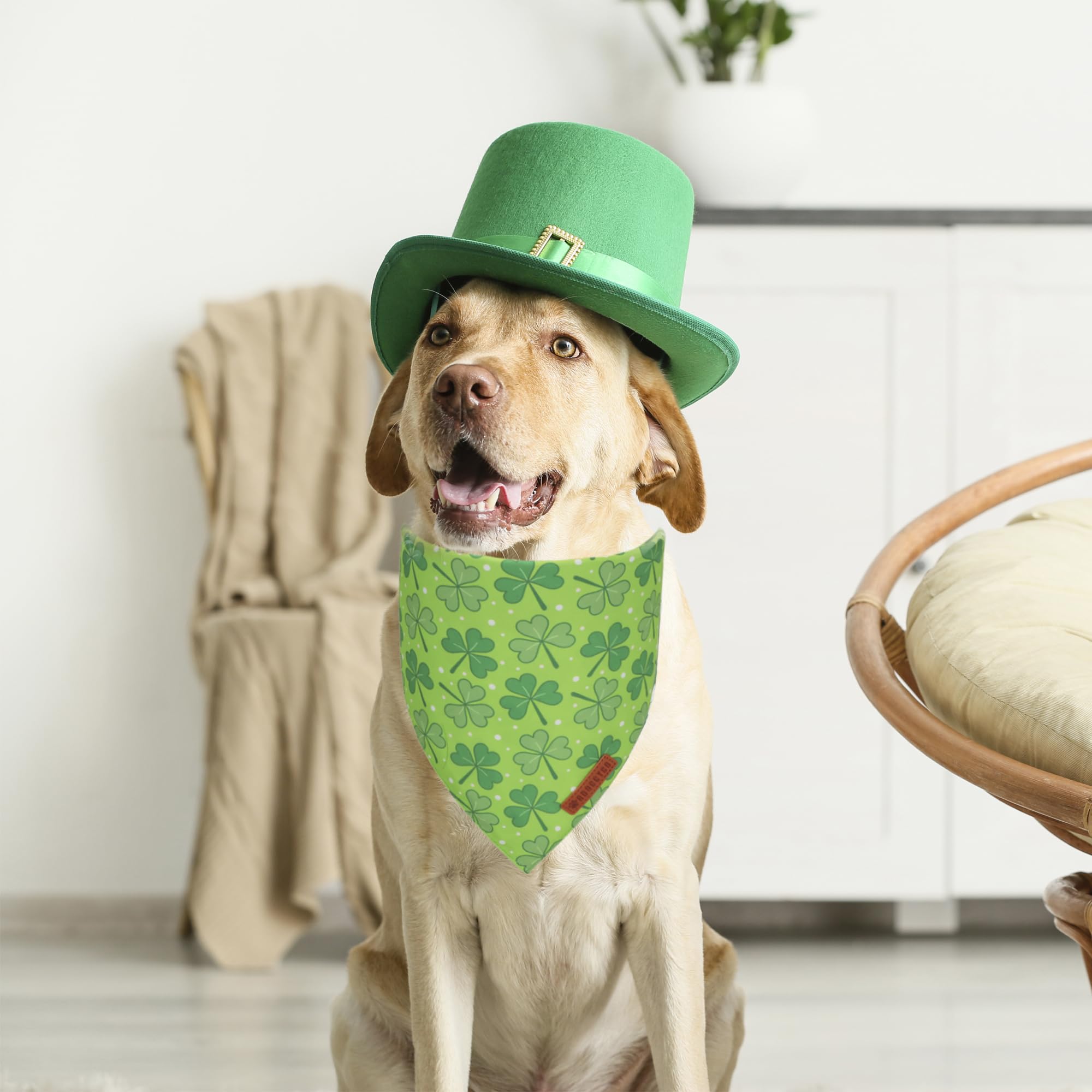 ADOGGYGO St. Patrick 's Day Dog Bandana, Green Shamrock Pet Scarf, Adjustable Fit Saint Patrick Bandanas for Large and Extra Lar