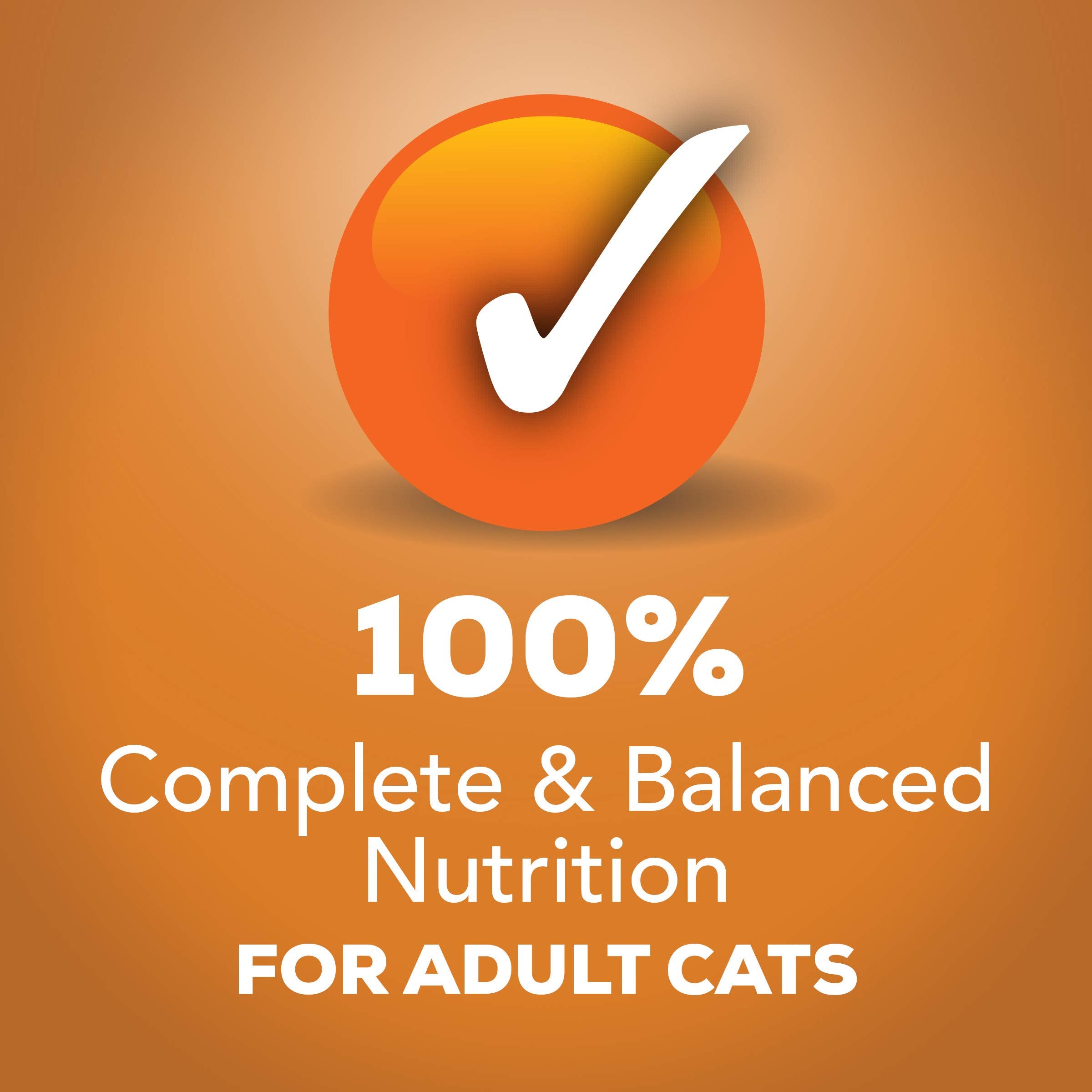 Purina Friskies Gravy Pate, Wet Cat Food Extra Gravy Pate With Chicken in Savory - (Pack of 24) 5.5 oz. Cans