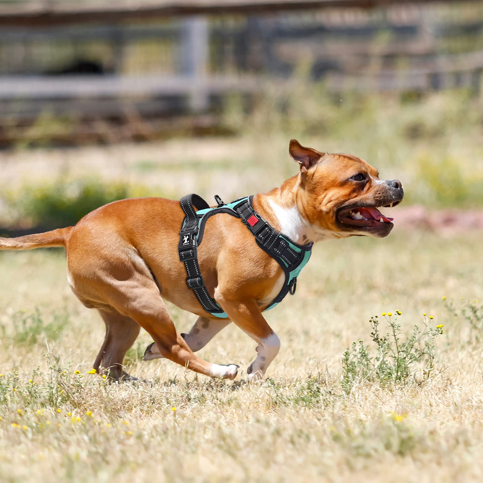 Poypet Dog Harness No Pull, Reflective Adjustable No Choke Pet Vest With Front & Back Clips, Soft Padded And Control Training Handle For Large Dogs(Mint Blue,Xl)