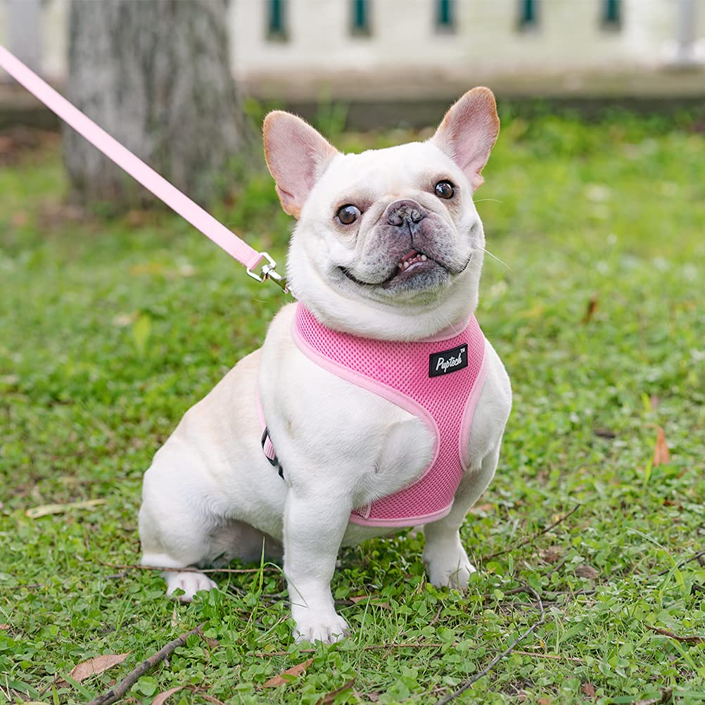 Pupteck Soft Mesh Dog Harness And Leash Set Pet Puppy Cat Comfort Padded Vest No Pull Harnesses, Solid Pink, Xs
