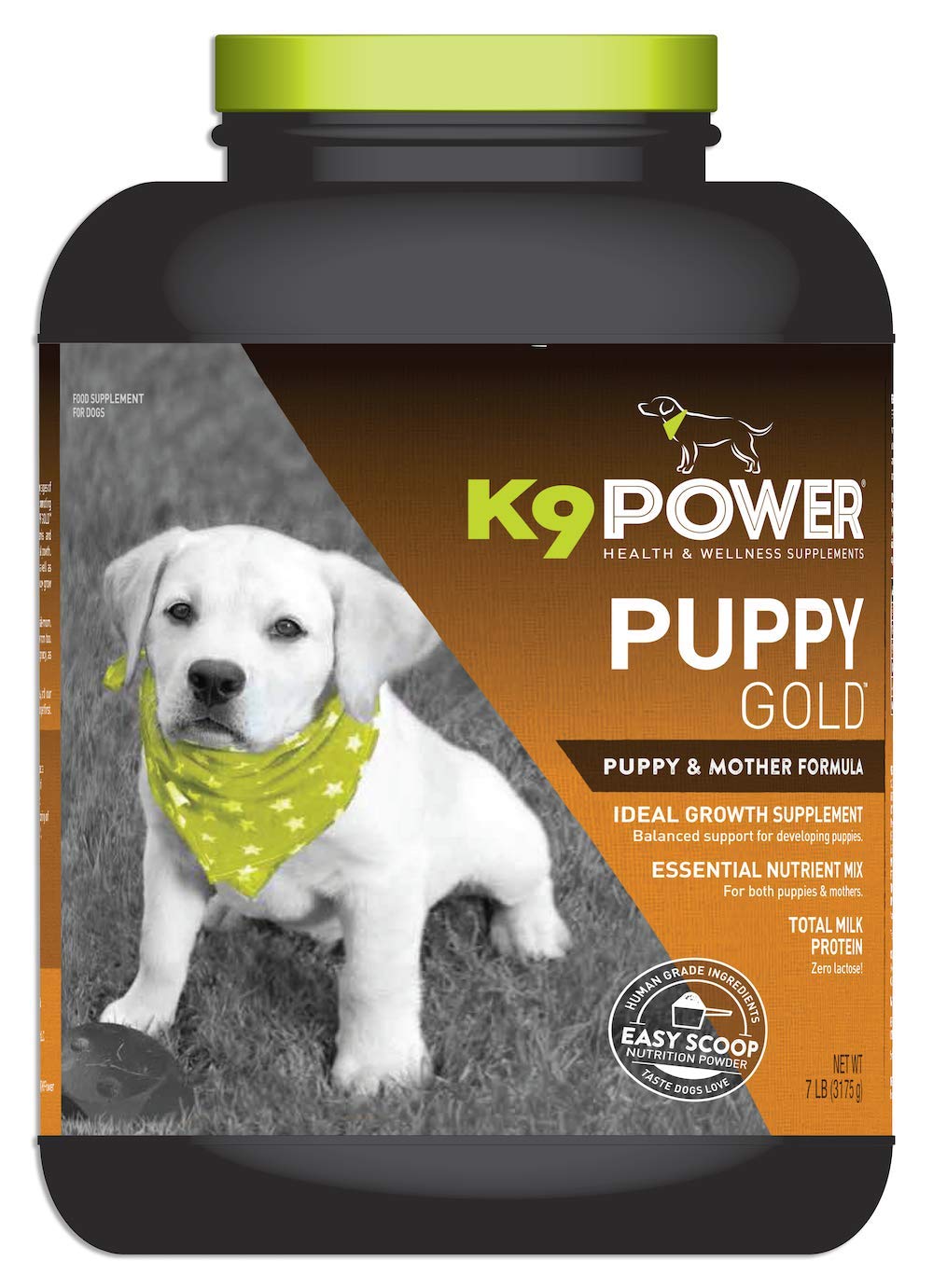 K9 Power Puppy Gold - Premium Supplement For Growing Puppies & Nursing Mothers, Essential Nutrients For Healthy Development (1 Pound (45 Concentrated Scoops))