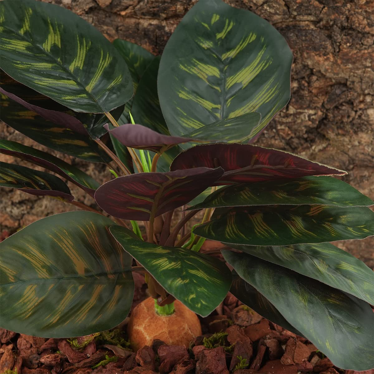 WOLEDOE Reptile Terrarium Decor Plants, Bearded Dragon Tank Accessories fit Crested Gecko Leopard Lizard Chameleon Ball Python S