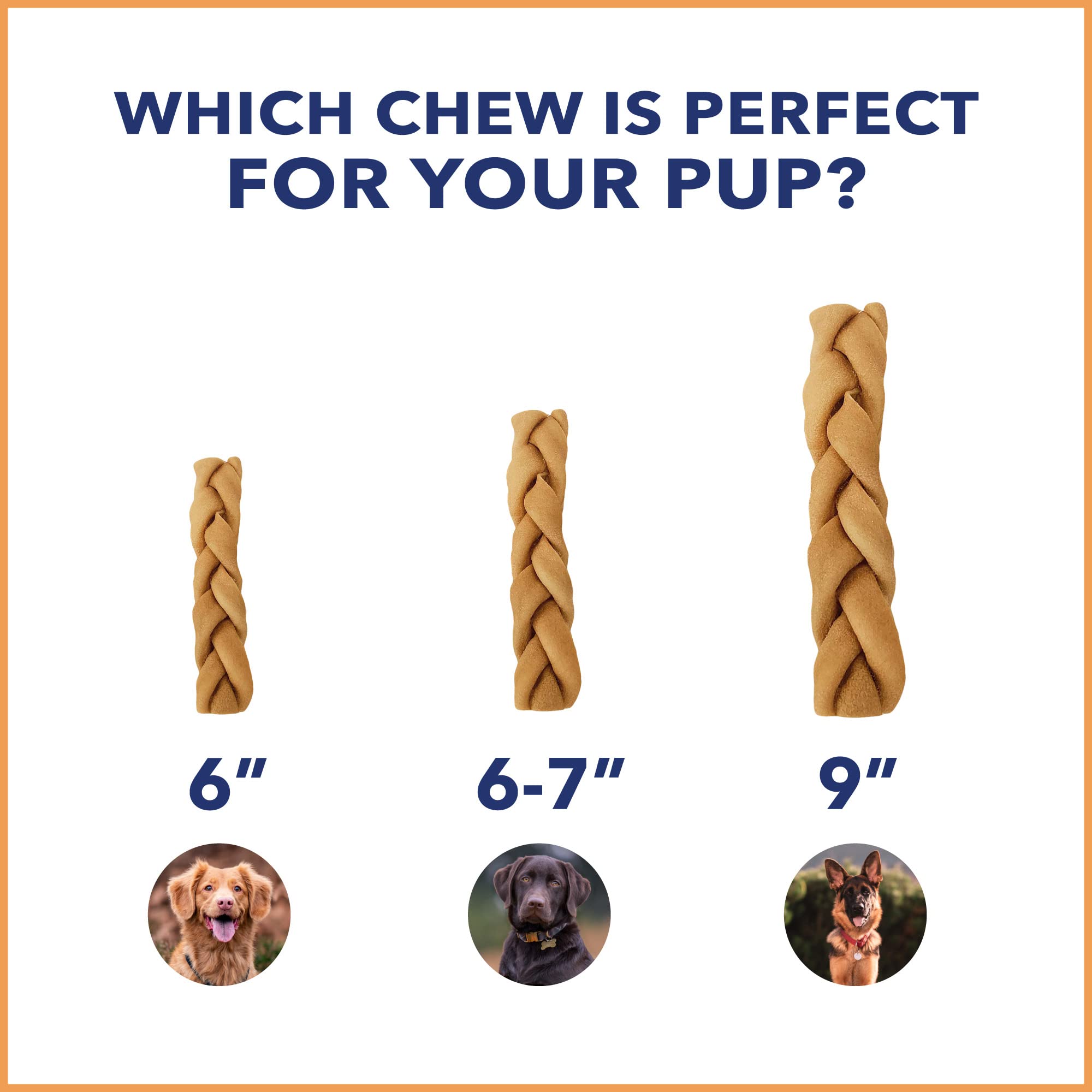 Pet Factory CareChewz Collagen 6-7 Skinny Braided Sticks Dog Chew Treats - Chicken Flavor, 5 Count/1 Pack