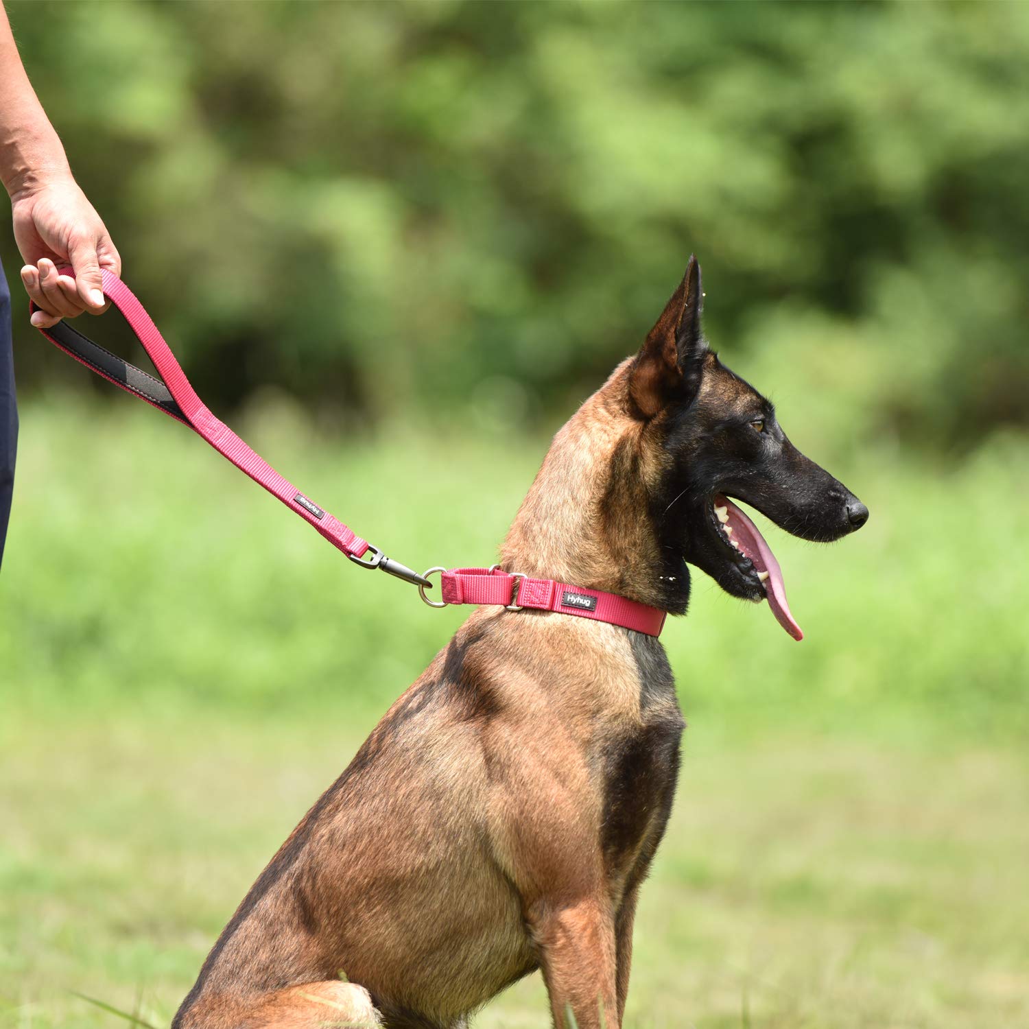 Anti-Escape Martingale Super Rugged Collar For Medium Boy And Girl Dogs - Daily Use Walking,Professional Training.(Medium,Rose Red Pink)