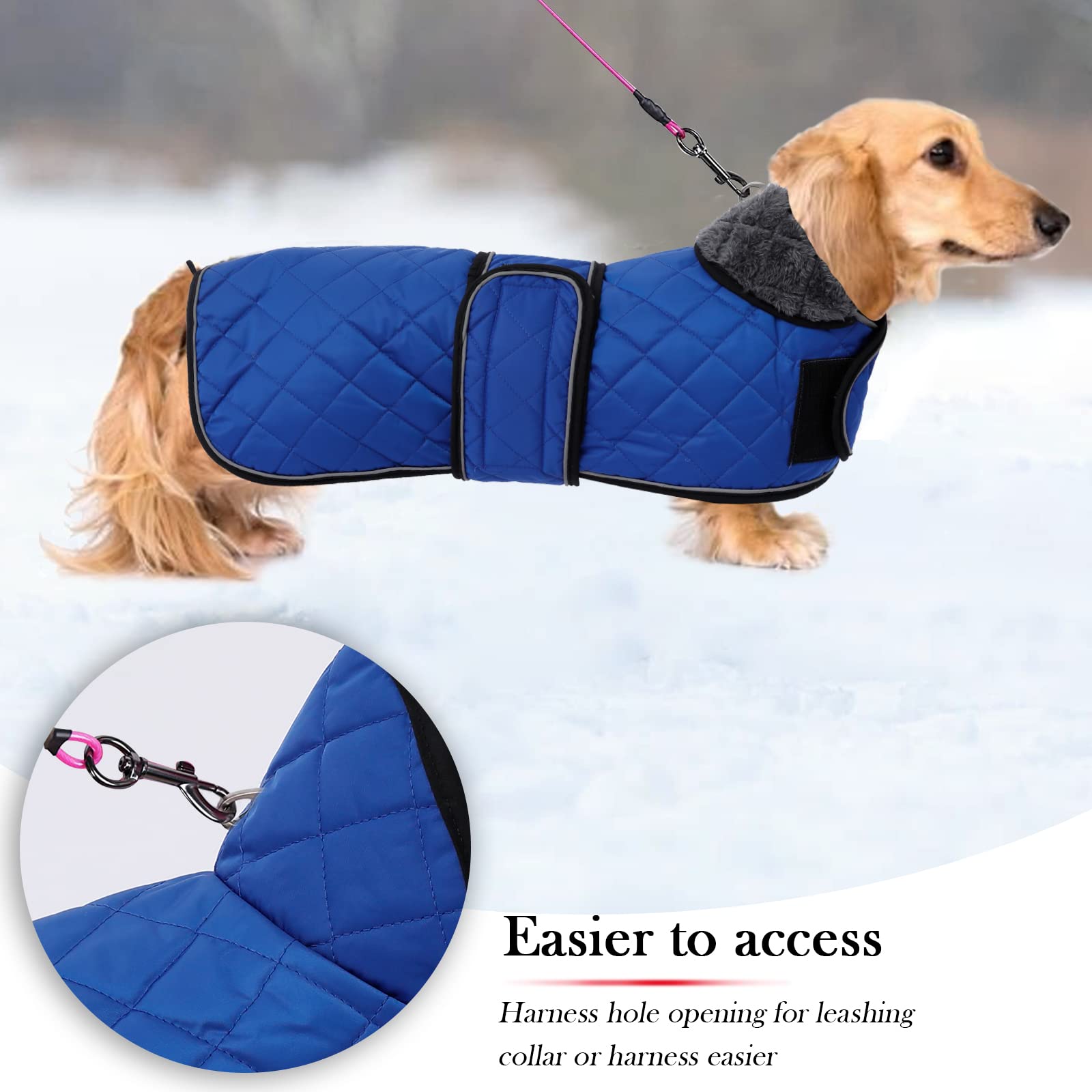 Warm Thermal Quilted Dachshund Coat, Dog Winter Coat With Warm Fleece Lining, Outdoor Dog Apparel With Adjustable Bands For Medium, Large Dog-Blue-S