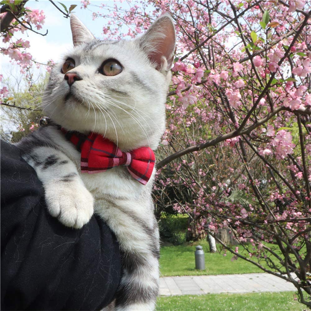 Cat Collar Breakaway With Bell And Bow Tie, Plaid Design Adjustable Safety Kitty Kitten Collars(6.8-10.8In) (Red Plaid 1)
