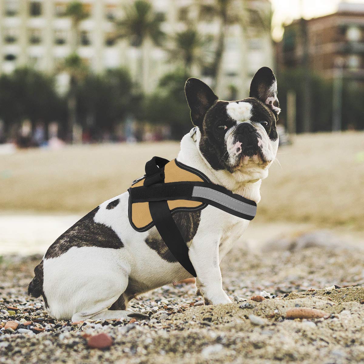 Bolux Dog Harness, No-Pull Reflective Dog Vest, Breathable Adjustable Pet Harness With Handle For Outdoor Walking - No More Pulling, Tugging Or Choking (Dark Green, S)