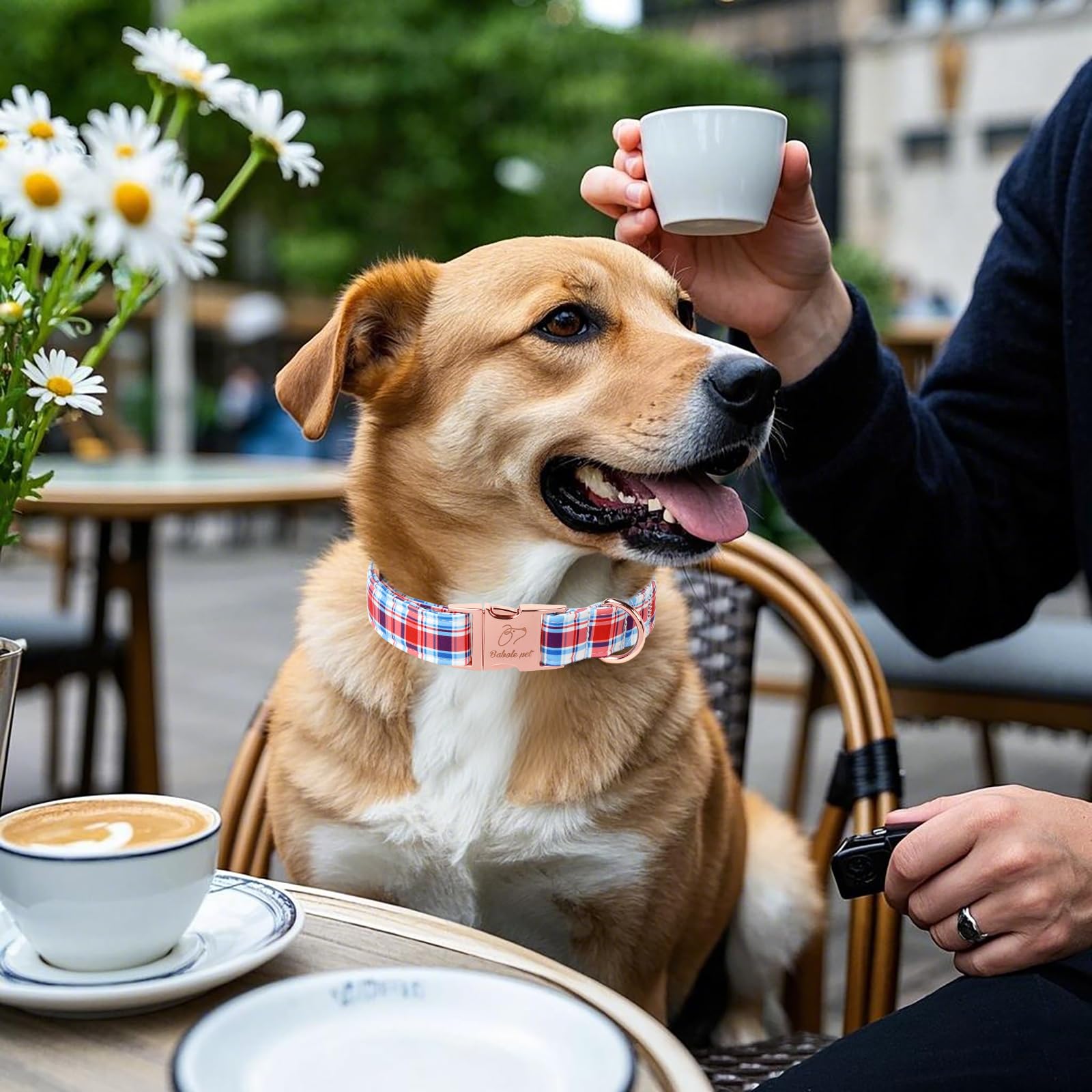 Babole Pet Adjustable Plaid Boy Dog Collar - Classic Boy Dog Plaid Collars For Large Dogs, Durable Red White Blue Heavy Duty Met