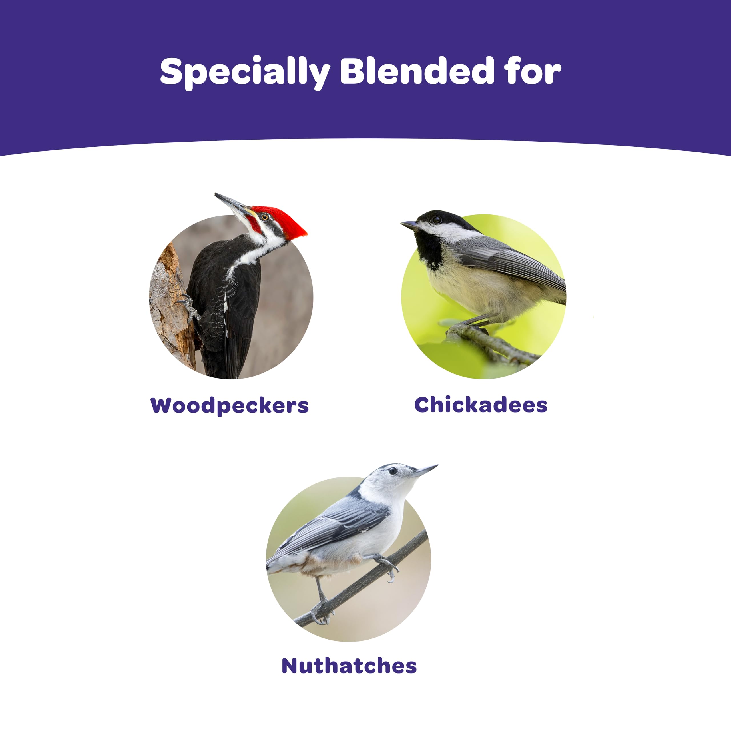 Kaytee Woodpecker Wild Bird Seed Cake 1.85 Pounds 4 Count