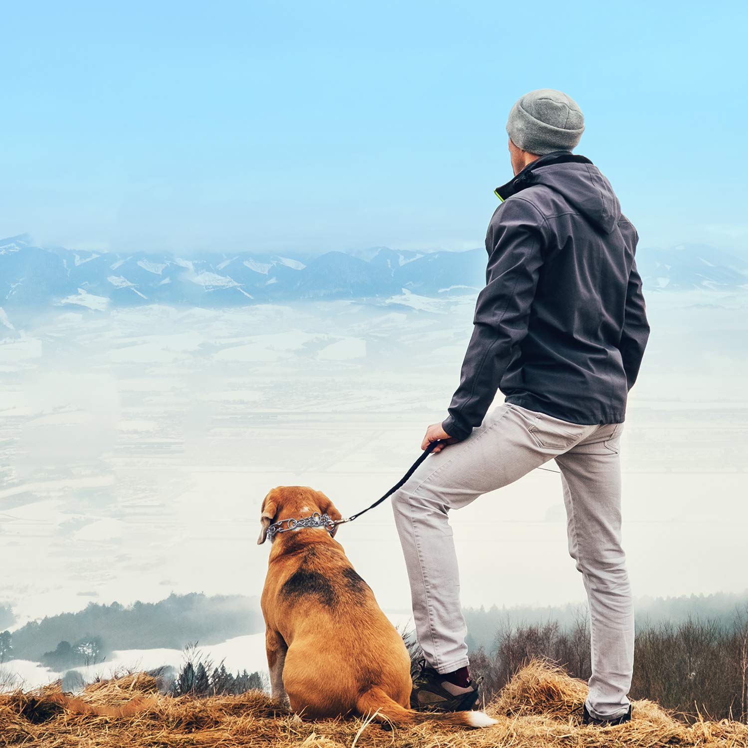 Aheasoun Prong Collars For Dogs, No Pull Dog Collar, Dog Training Collar For Large Medium Small Dogs, Stainless Steel Adjustable