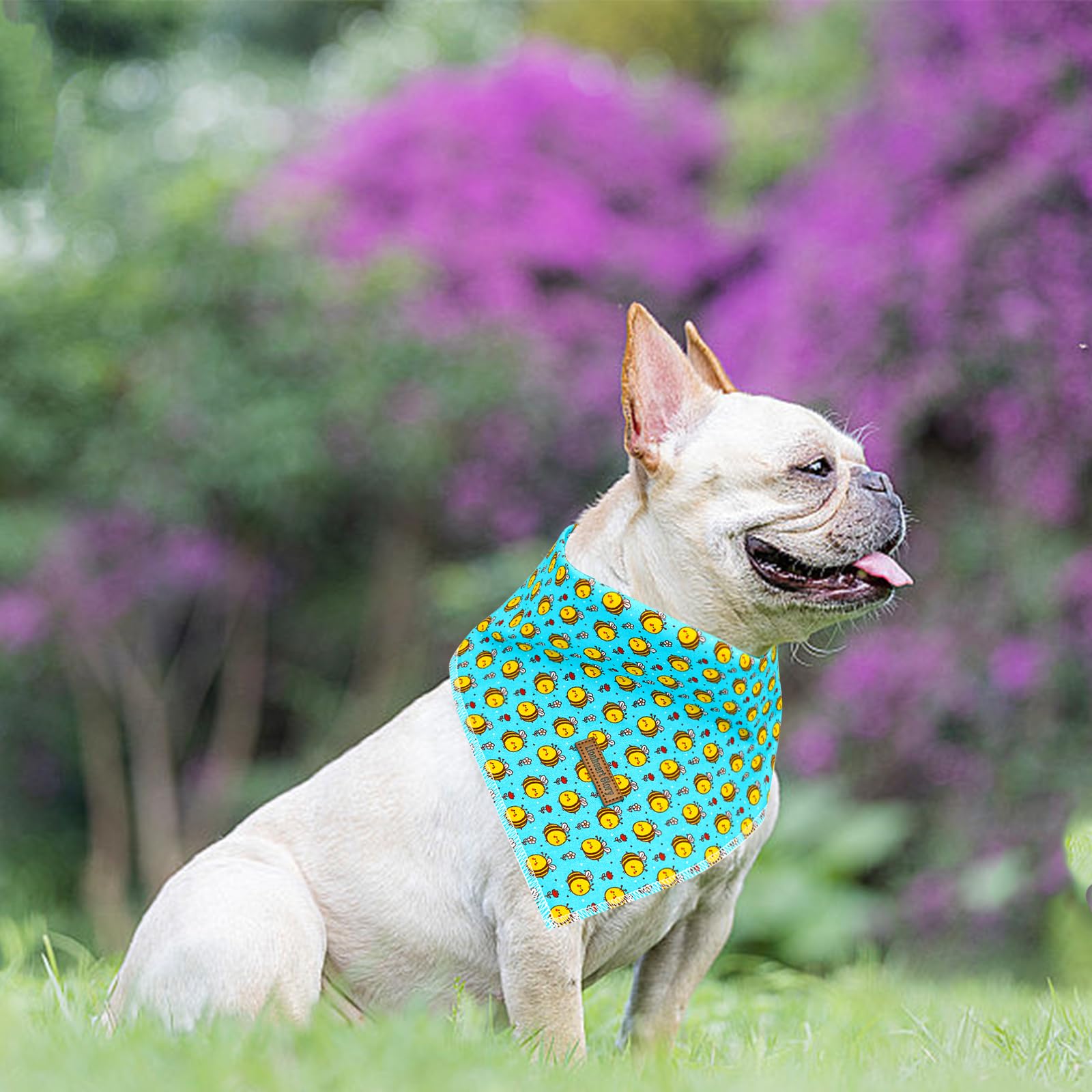Lionheart Glory St. Patrick'S Day Dog Bandana Dog Kerchief 1 Pack Washable Soft Comfortable Dog Scarf, Square Adjustable Girl Or