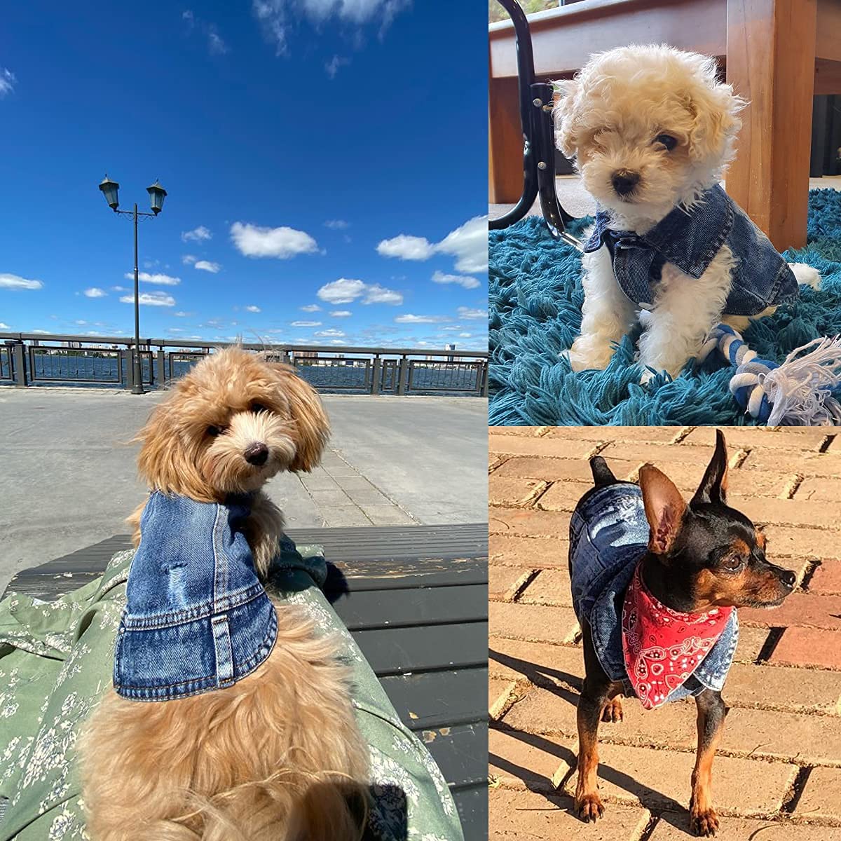Dog Jean Jacket, Puppy Blue Denim Lapel Vest Coat Costume, Girl Boy Dog T-Shirt Clothes, Cool And Funny Apparel Outfits, Machine Washable Dog Outfits For Small Medium Dogs Cats (Xl)