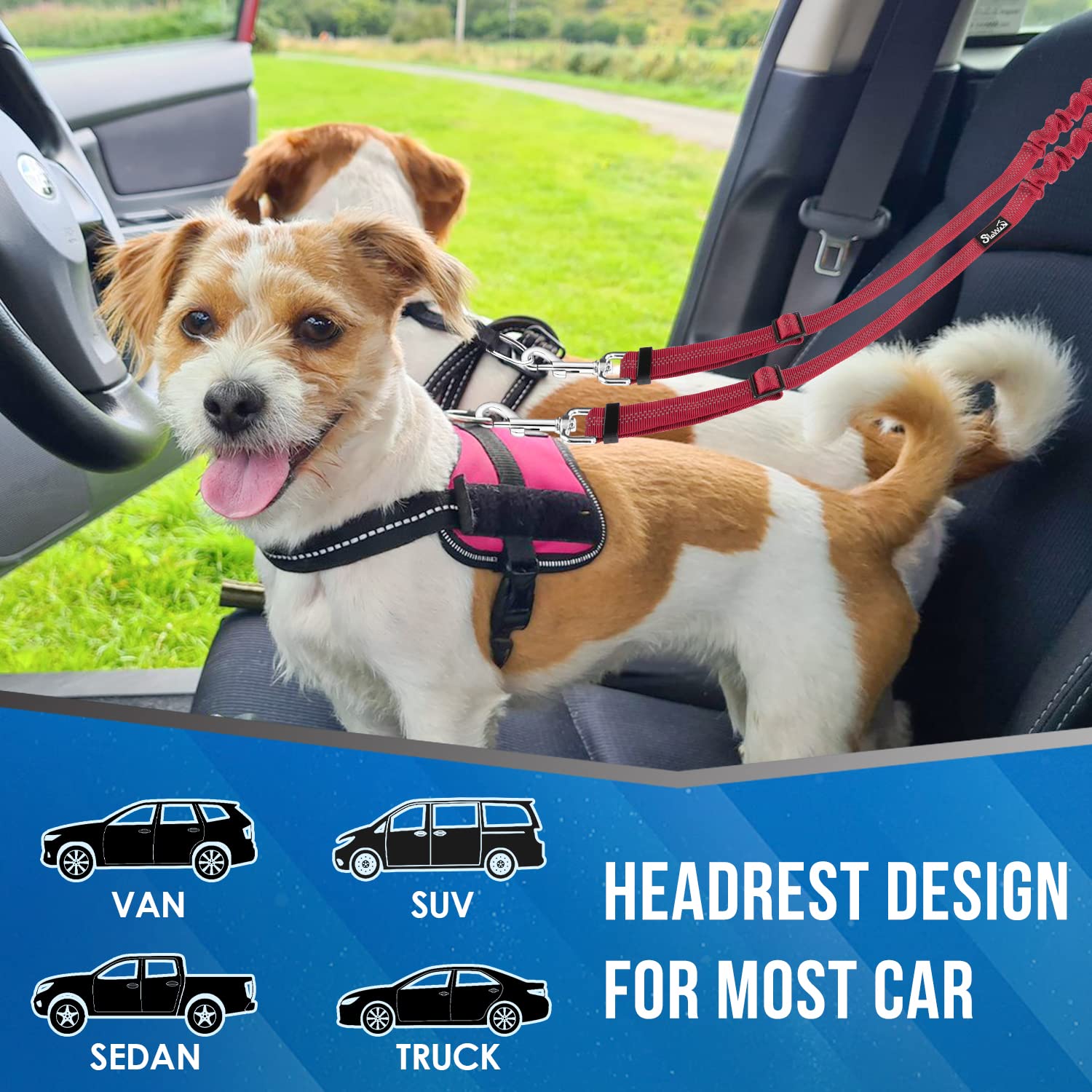 Lukovee Double Dog Seat Belt, New Dual Pet Car Headrest Restraint Safety Seatbelt No Tangle Dog Leash Duty Adjust Elastic Bungee