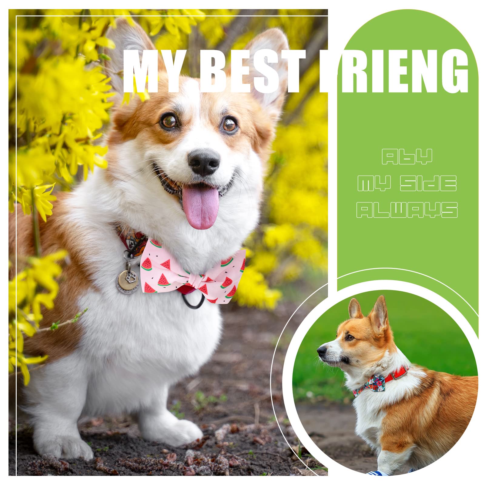 16 Pcs Dog Bow Ties Slide Dog Collar Bows Summer Hawaiian Styles Dog Collar Attachment Bows With Rubber Bands Dog Bow Ties For Large Dogs Spring Summer Grooming Independence Day (Fresh Style)