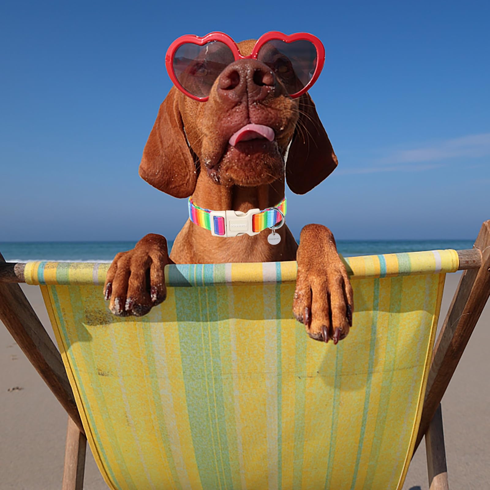 Dogwong Cotton Rainbow Dog Collar - Durable Soft Natural Fabric, Cute Lgbtq Puppy Necklace For Small Medium Large Dogs