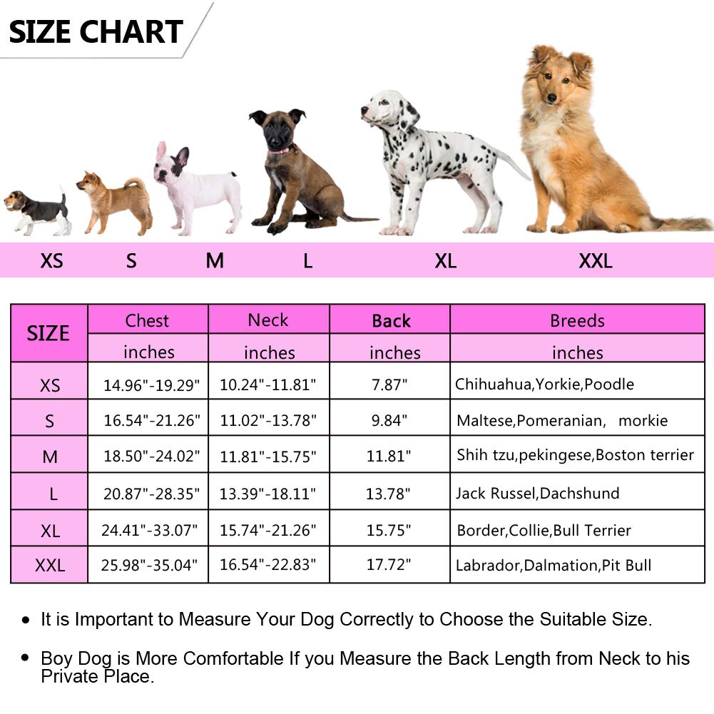 Ripstop Dog Life Jacket Shark Life Vest For Dogs, Safety Lifesaver With High Buoyancy And Lift Handle For Small And Medium Breeds(Rose Red M)