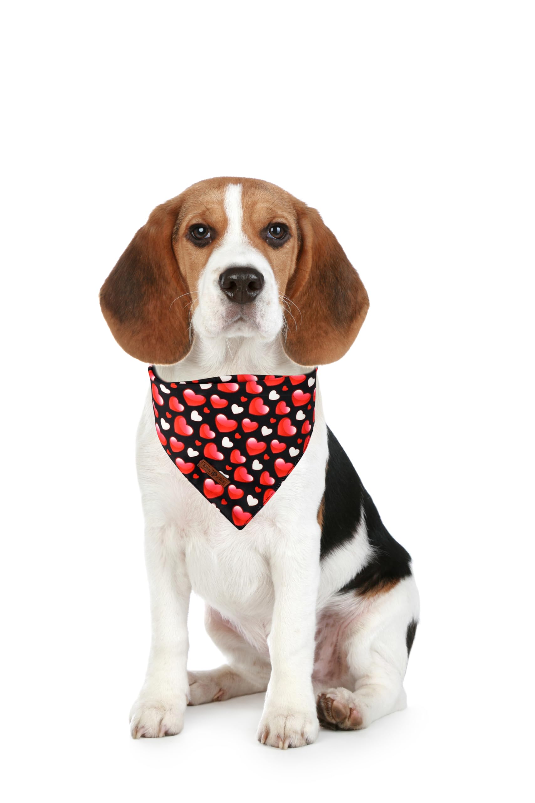 Lionet Paws Valentine'S 2Pcs Dog Bandanas, Black Heart & Colorful Heart Dog Scarf Bib Premium Fabric, Happy Valentine Love Banda