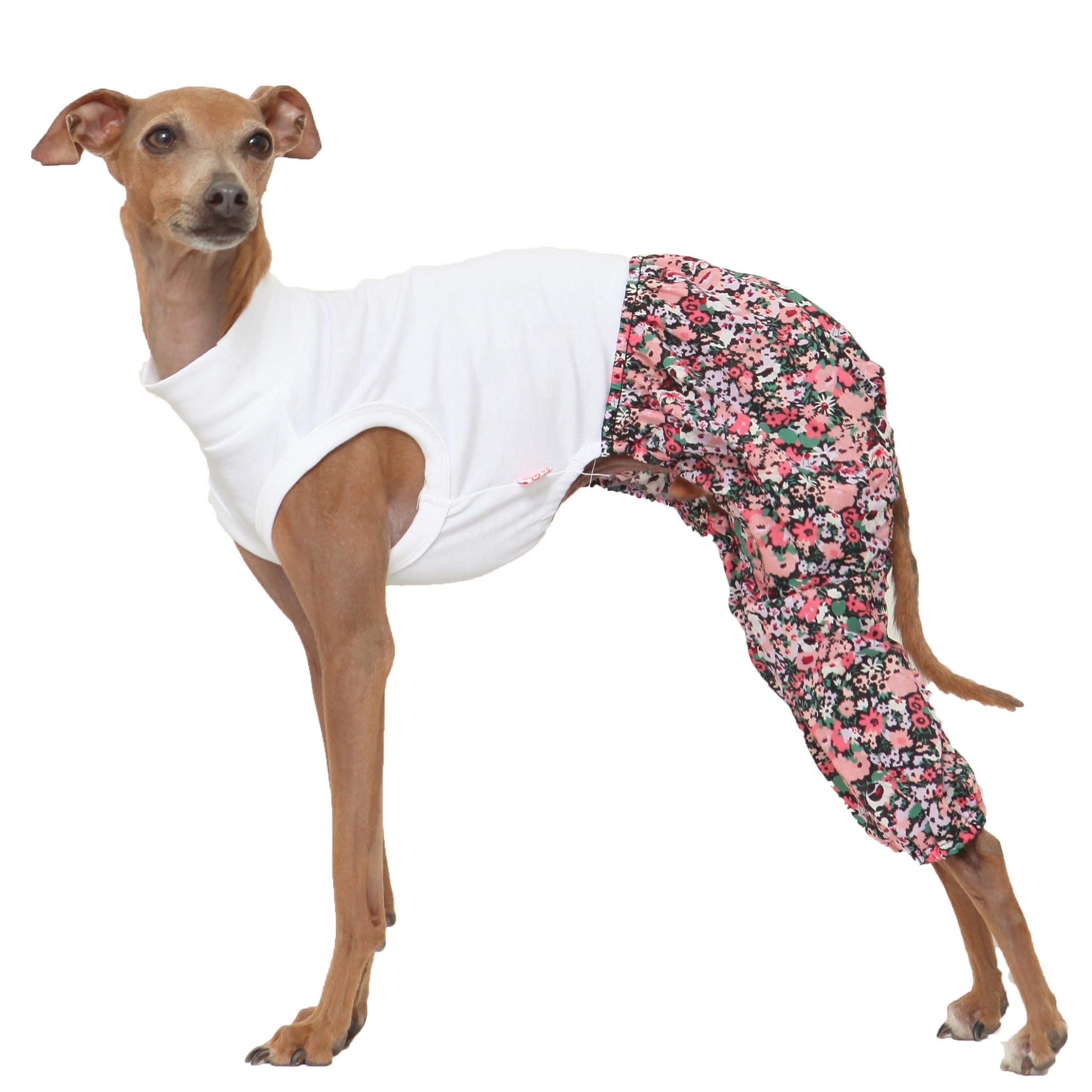 D Doggy Star Italian Greyhound Clothes Mombbe Onesie Outfit Whippet For Dog Coat (2Xl,Mombbe Black)
