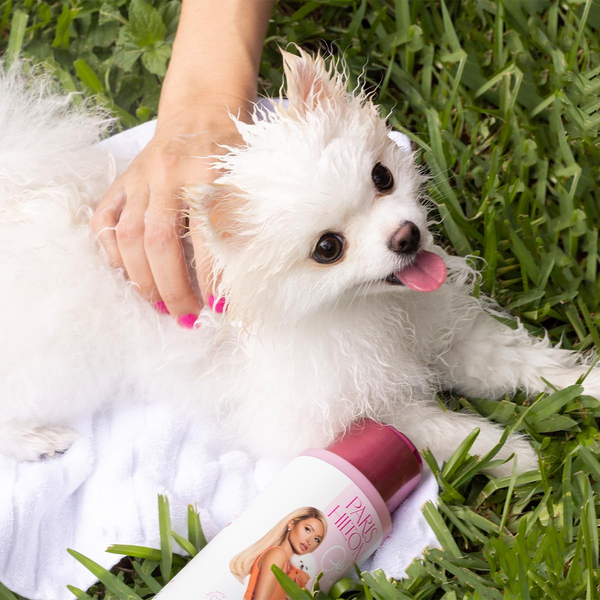 Paris Hilton Dog Shampoo - Crisp Refreshing Cucumber Melon Scent, Sulfate-Free Vegan & Hypoallergenic for All Dog Breeds, with O