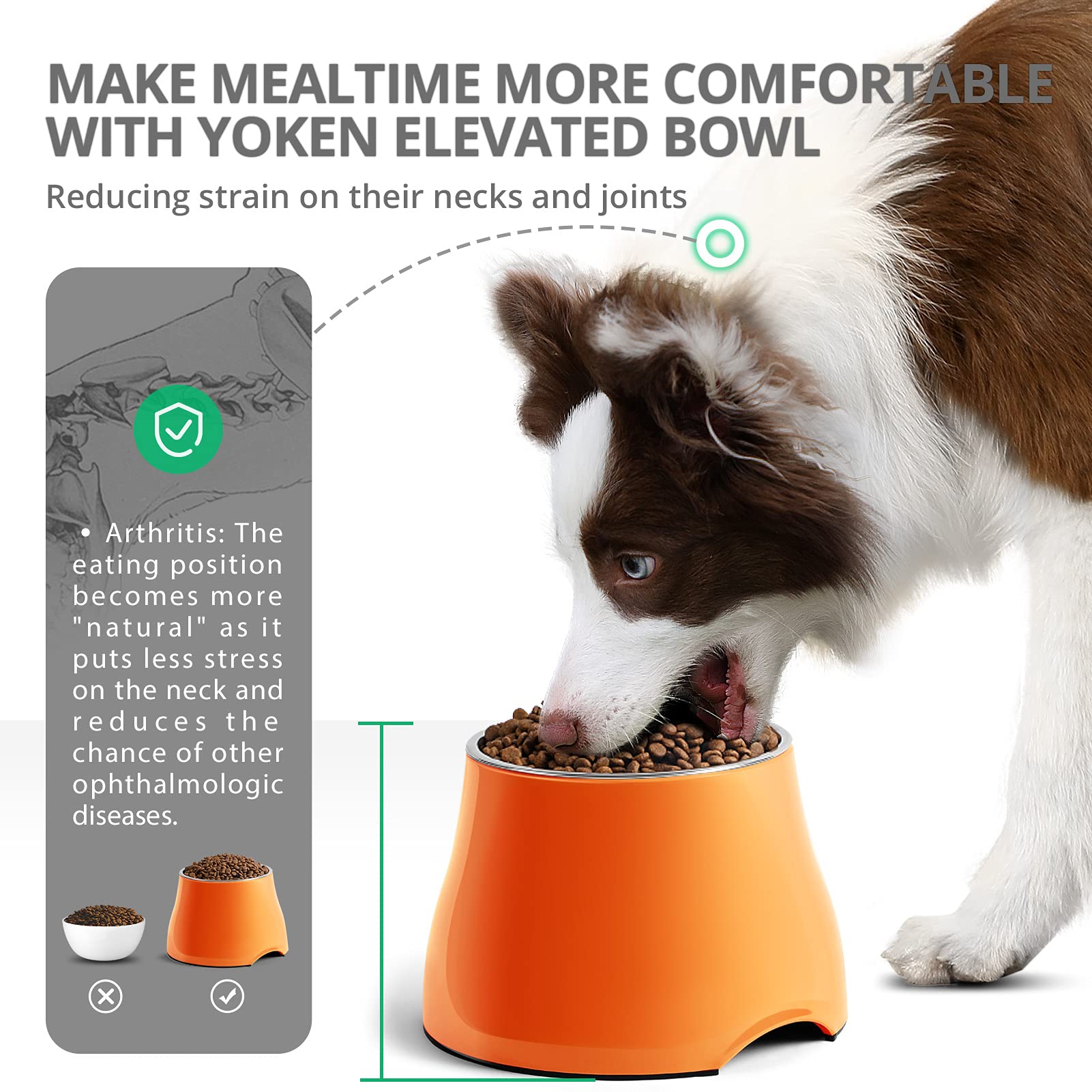 Fluffydream Elevated Dog Bowls,[Prevention of Vertebrae Disease][Super Non-Slip] Dog Bowl with Stainless Steel Bowl,High Capacit