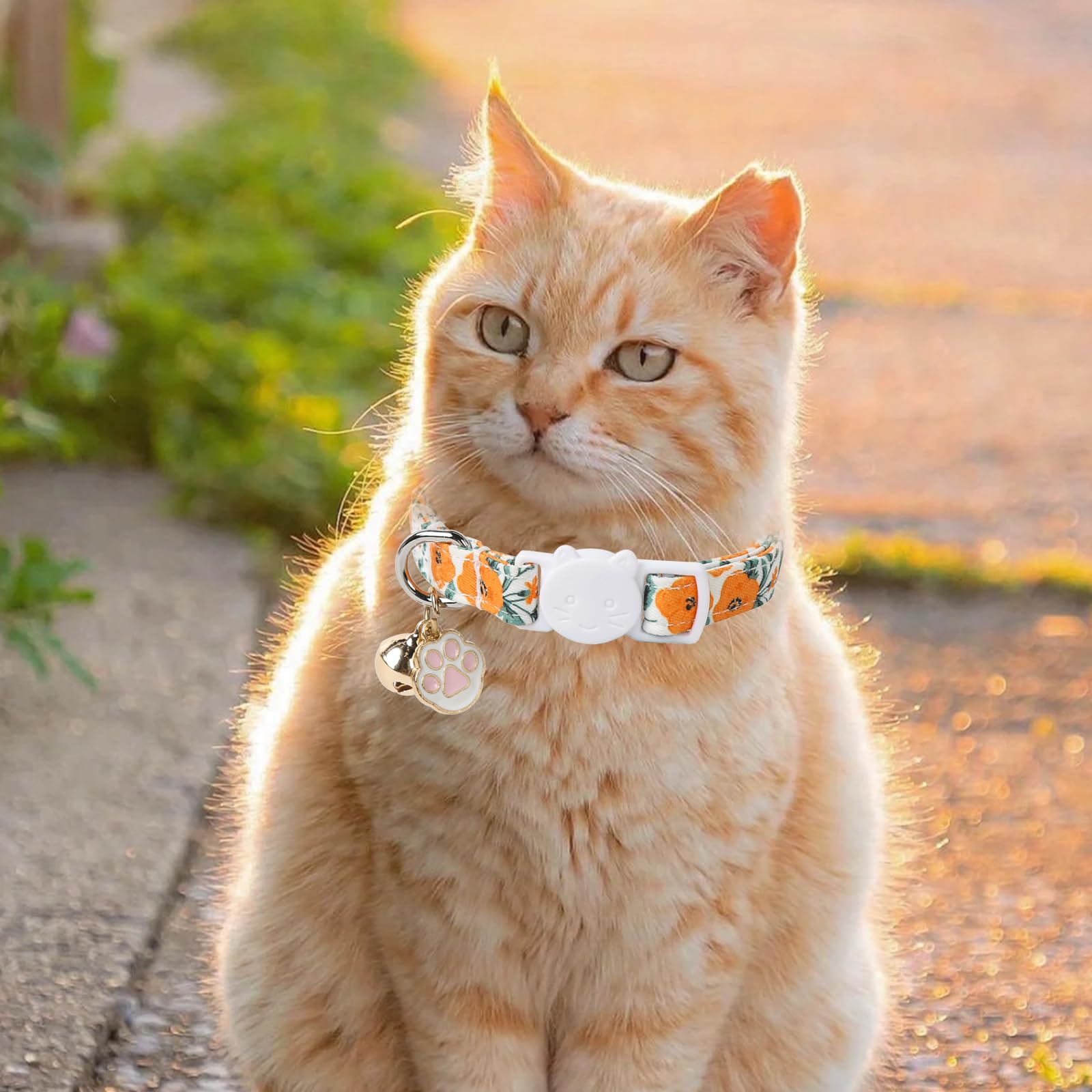 Unique Style Paws Fall Kitten Collar,2 Pack Orange Cat Collar With Sunflower Pattern,Breakaway Cat Collar With Bell,Cute Paw Pen