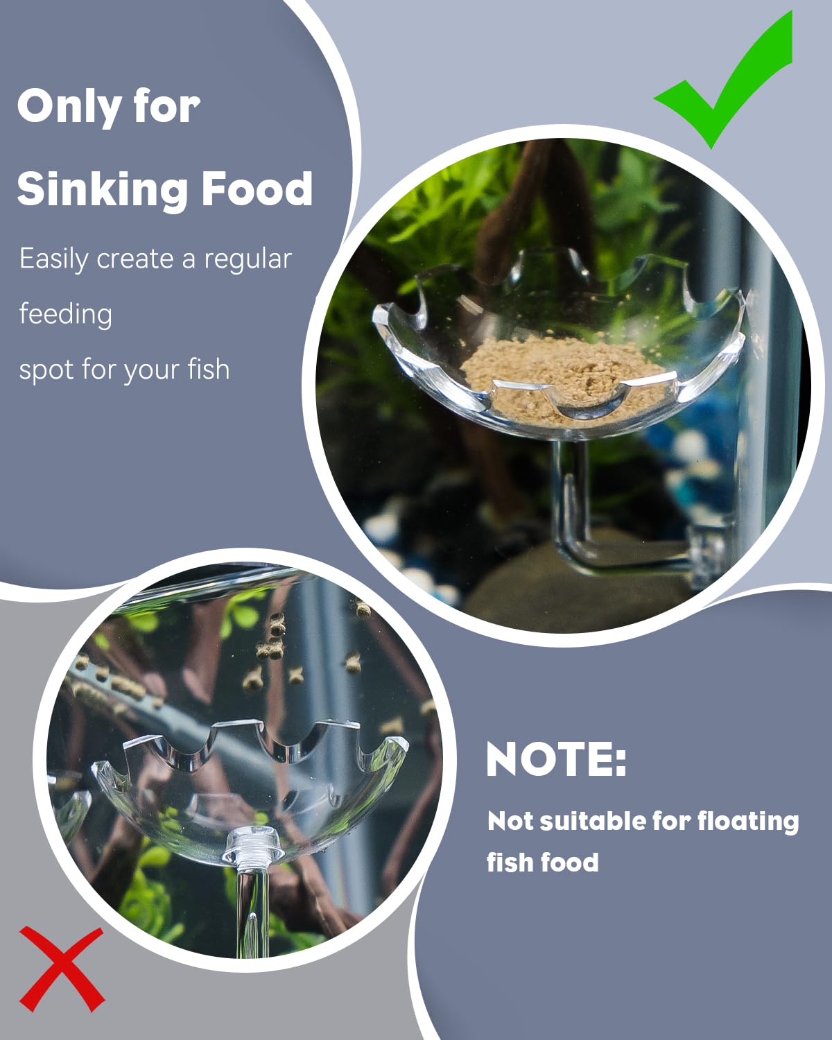 Pawfly Shrimp Feeding Dish With Suction Cup, Clear Acrylic Aquarium Shrimp Feeder, Fish Feeding Tray For Freshwater And Saltwate