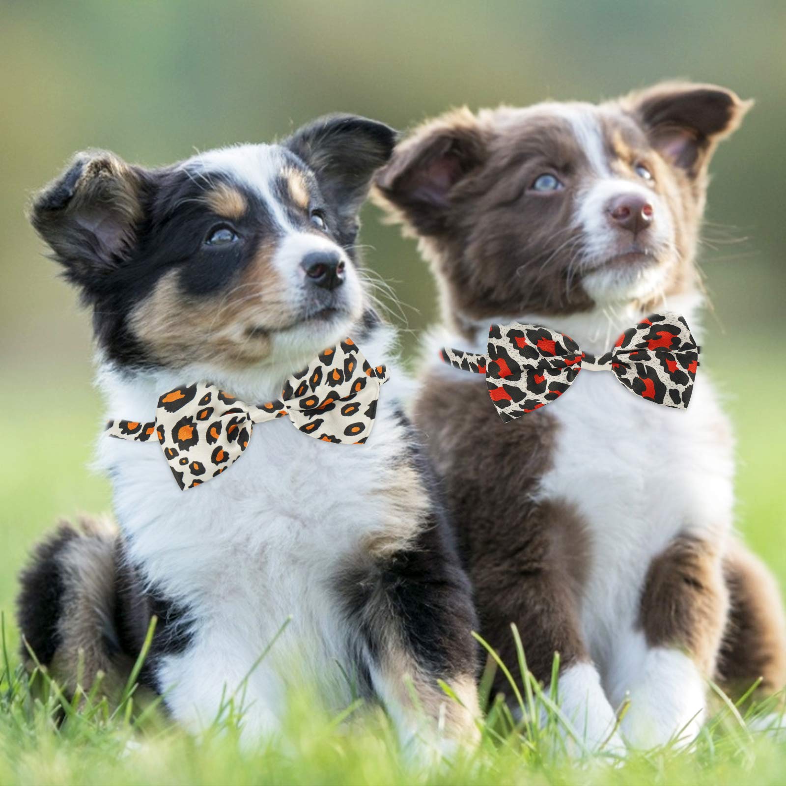 Bow Ties For Dogs Bulk, 40Pcs Segarty Cat Dog Bowties With Adjustable Collar For Medium Small Dogs, Grooming Shop Accessory Gift