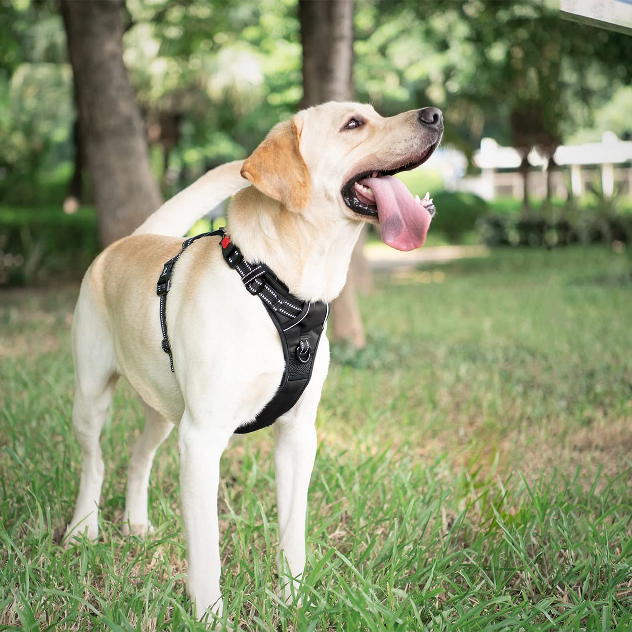 Poypet Dog Harness No Pull, Reflective Vest Harness With Front & Back 2 Clips And Easy Control Handle For Small Medium Large Bre