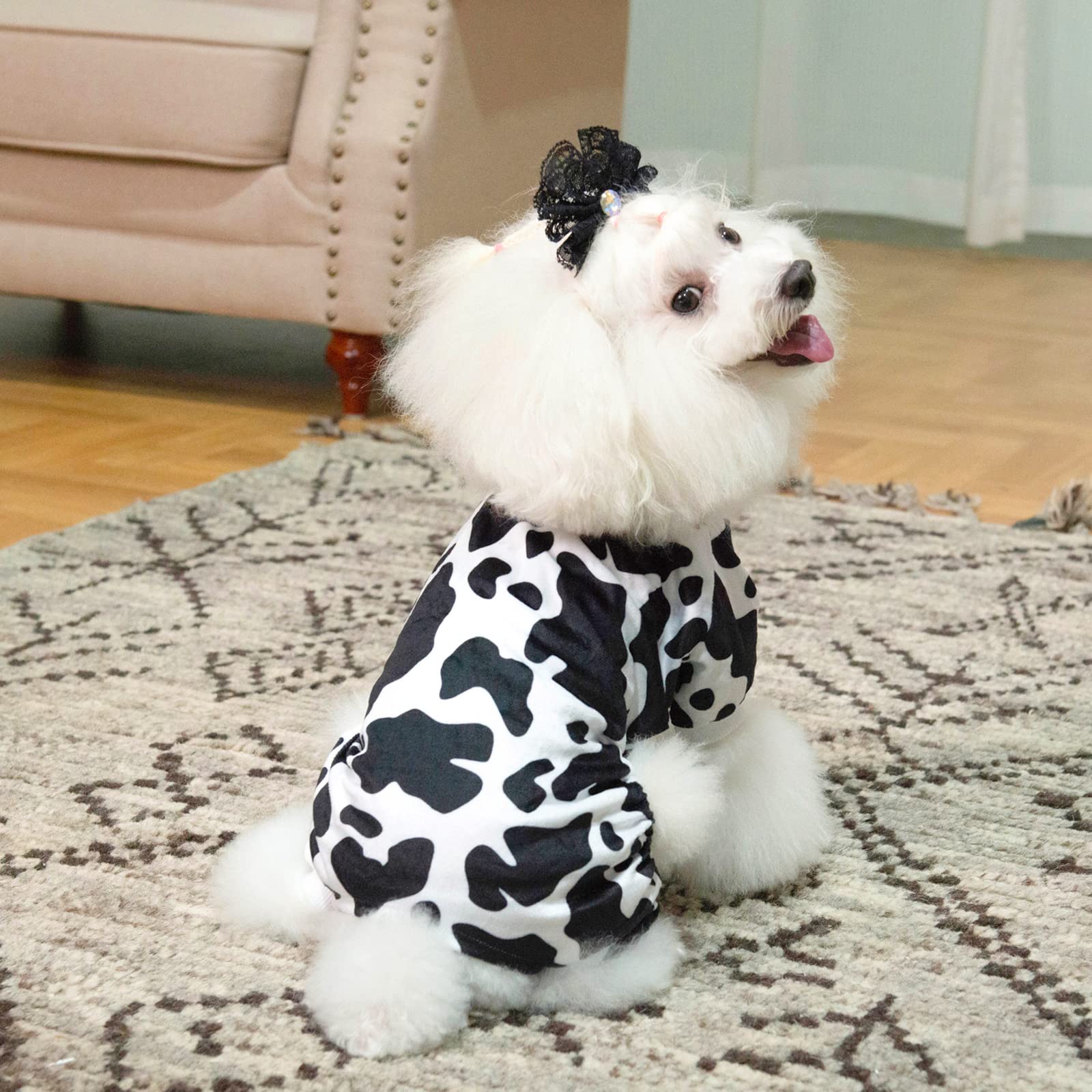 Cutebone Leopard Print Dog Pajamas Soft Puppy Pjs For Small Dogs P226M