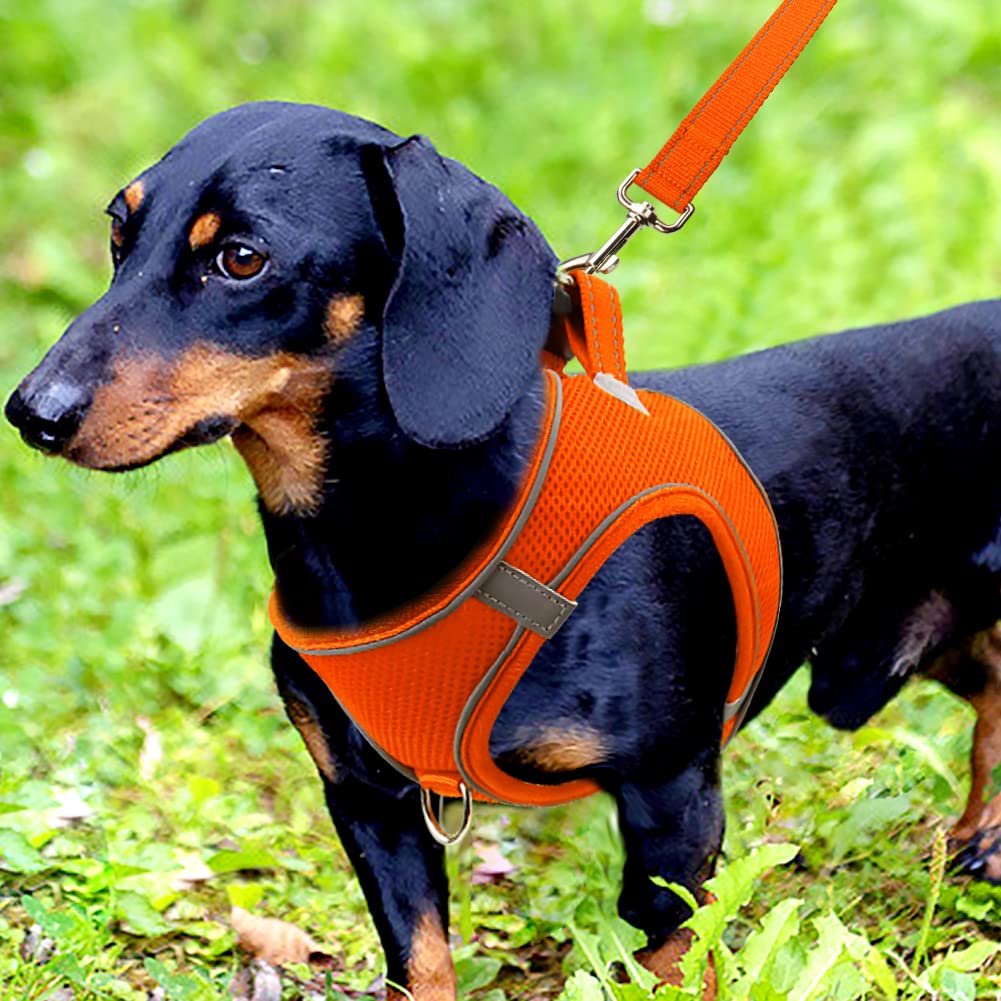 Joytale Step In Dog Harness,12 Colors,Breathable Mesh Vest Harness,Reflective Soft Padded Harnesses For Small And Medium Dogs,Orange,M