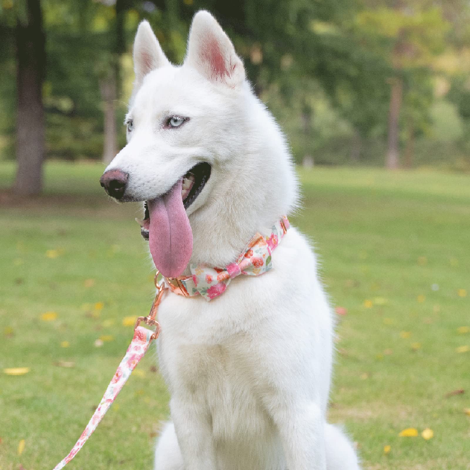 Tunkoo Dog Leash Floral With Soft Comfy Cotton Handle