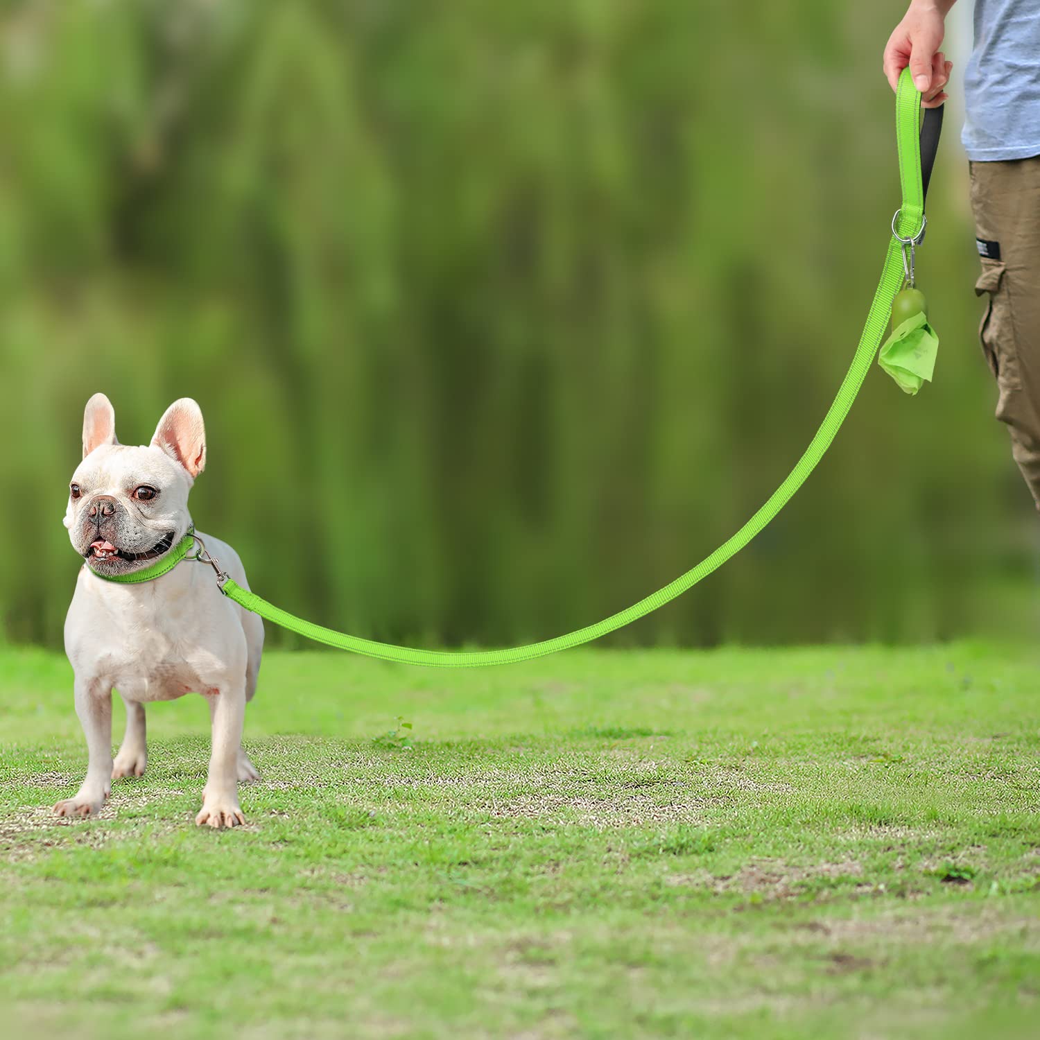 Joytale Double-Sided Reflective Dog Leash, 6 Ft/5 Ft/4 Ft, Padded Handle Nylon Dogs Leashes For Small & Medium Dogs Walking, Green, 6Ft