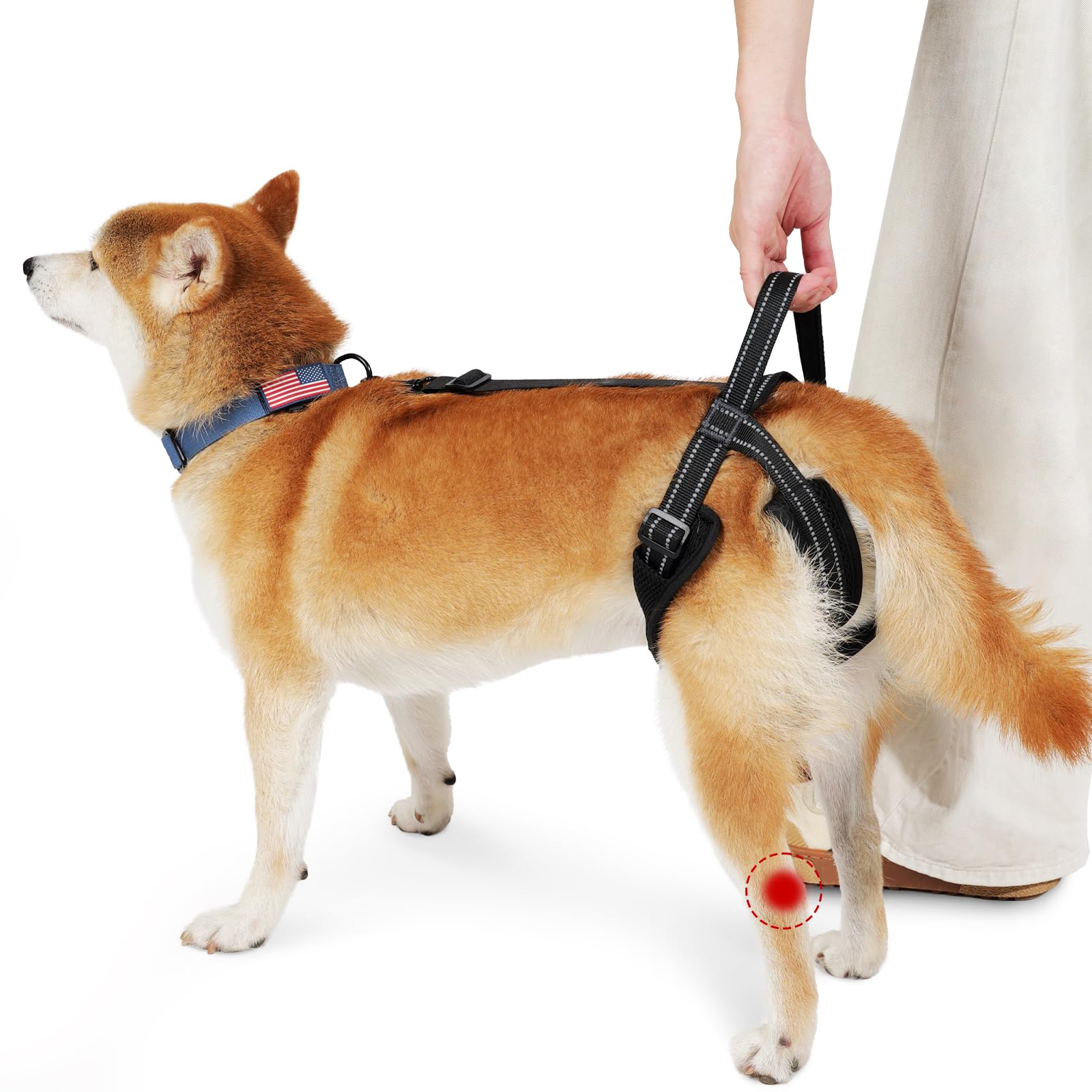 ROZKITCH Pet Dog Support Harness Rear Lifting Harness for Back Legs Reflective Dog Sling Vet Approved for Old Helps with Poor St