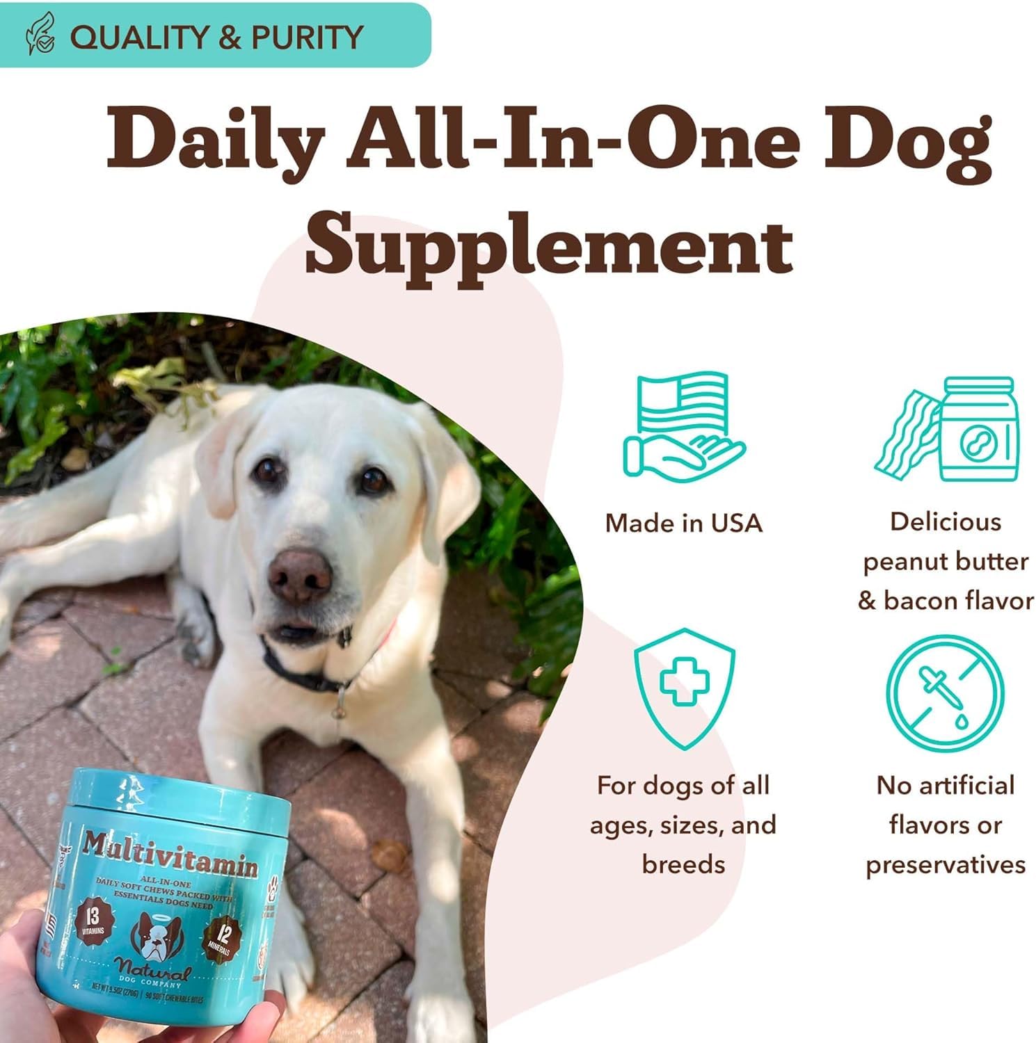 Natural Dog Company 25-in-1 Multivitamin Chews for Dogs - Daily Soft Dog Vitamins with Antioxidants, Zinc & Folic Acid - Support