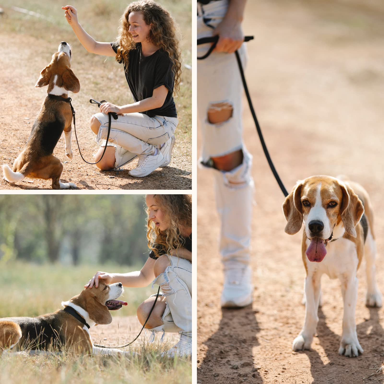 Jipimon Waterproof Dog Collar And Leash Set Adjustable Quick Release Buckle Collar Leash For Small Medium Large Dogs (Medium, Black)