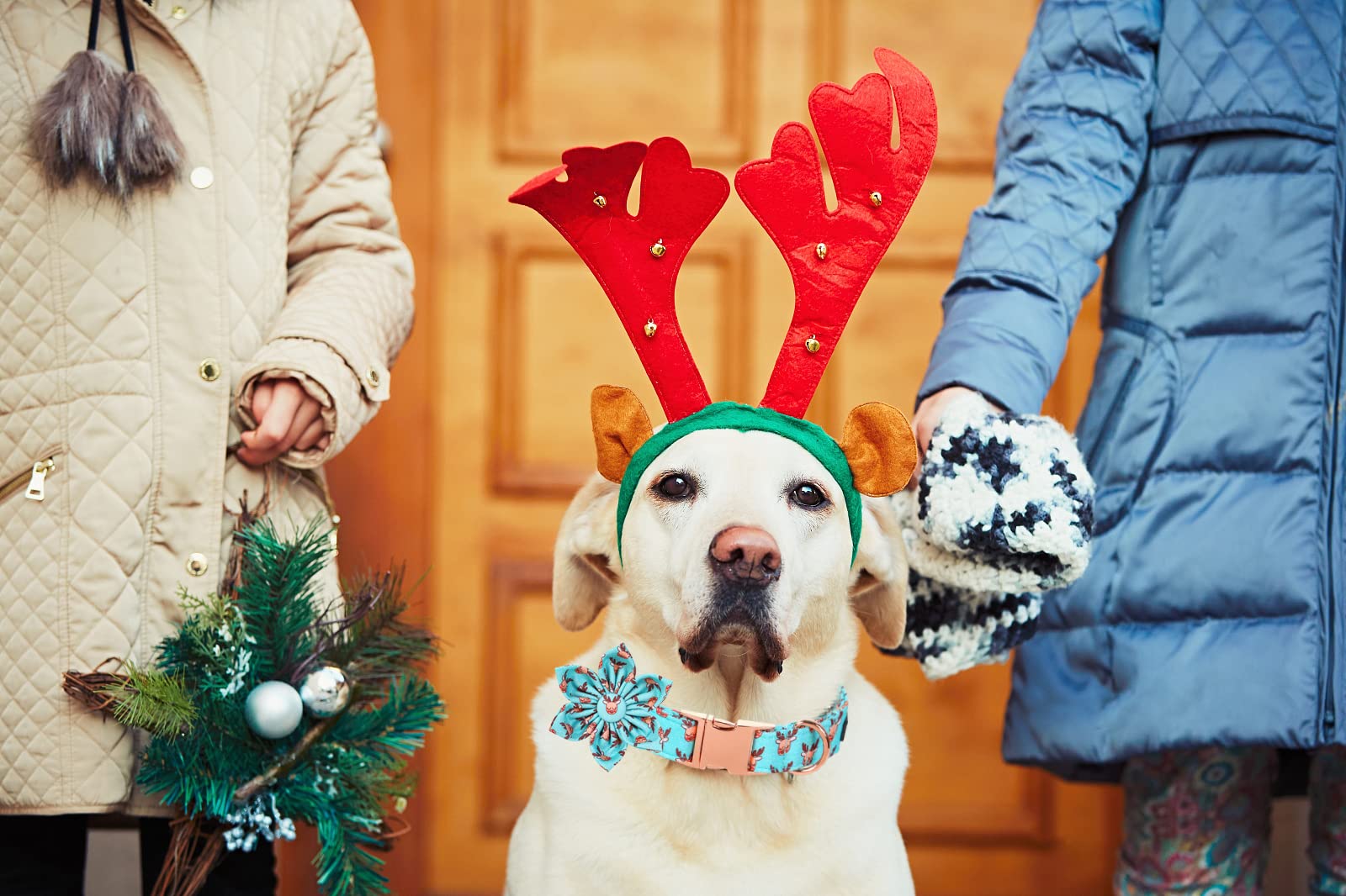 Lionet Paws Christmas Dog Collar With Flower, Dog Flower Collar With Metal Buckle For Dogs And Cats, Adjustable Comfortable Dog