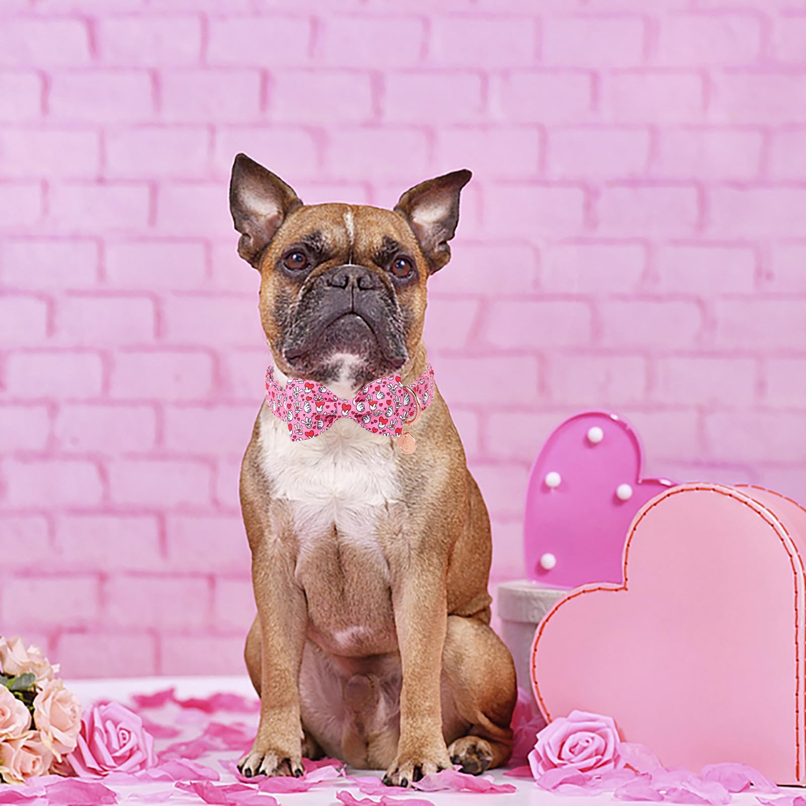 Dogwong Valentine Dog Collar With Bow, Pink Heart, Cotton, Xs, Unisex, Everyday Wear, Special Occasions