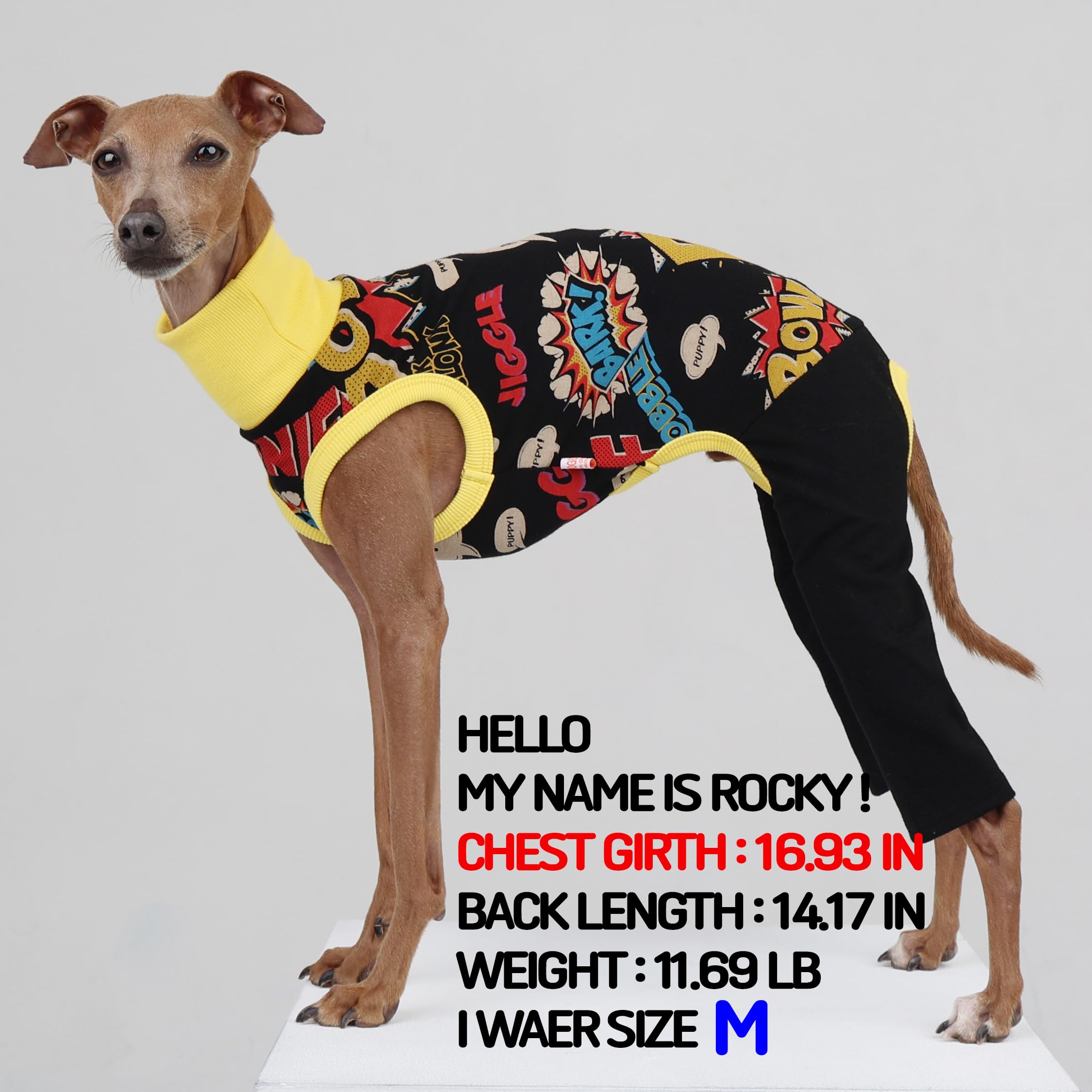 D Doggy Star Italian Greyhound Clothes Stretchable Bow Sleeveless Onesie Whippet For Dog (Xl,Onesie Bow Black)