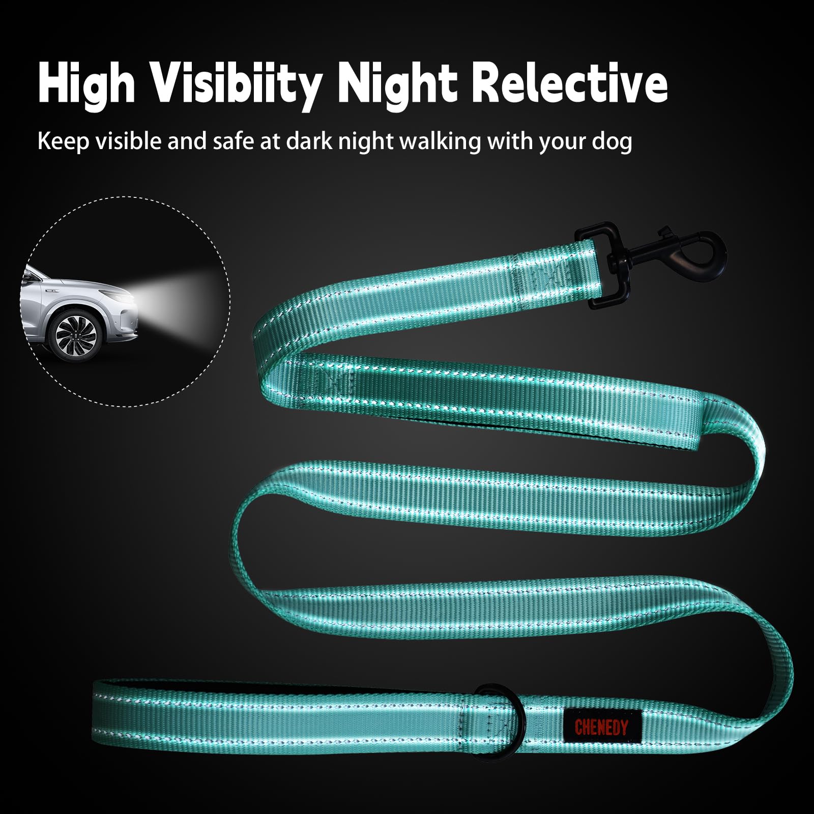 Heavy Duty Dog Leash With Double Handle - Reflective Training Lead For Medium To Large Breeds (5Ft, Lake Blue)