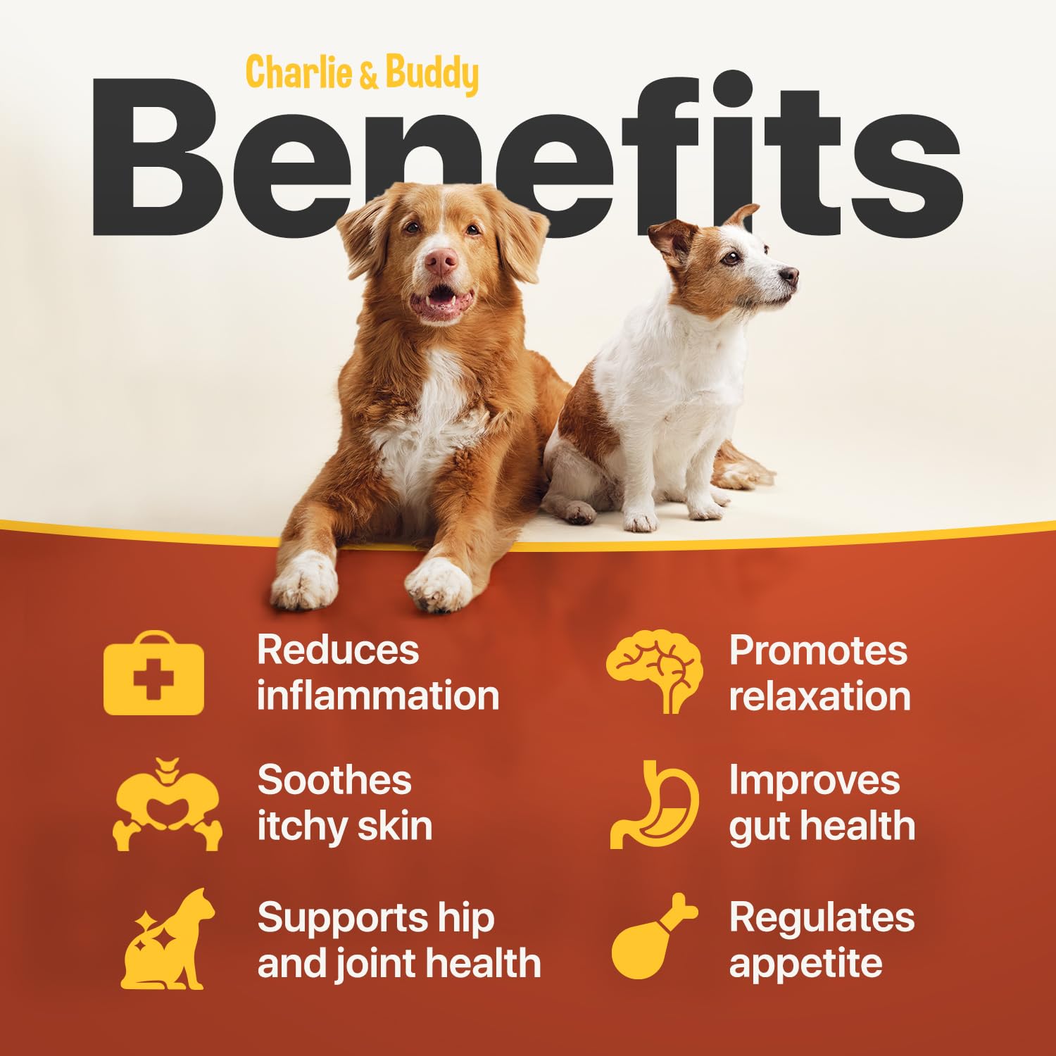 Charlie Buddy - H?mp Oil for Dogs Cats - Hip and Joint Support and Skin Health - Anxiety, Calm, Pain - Omega 3, 6, 9 and Vitamin