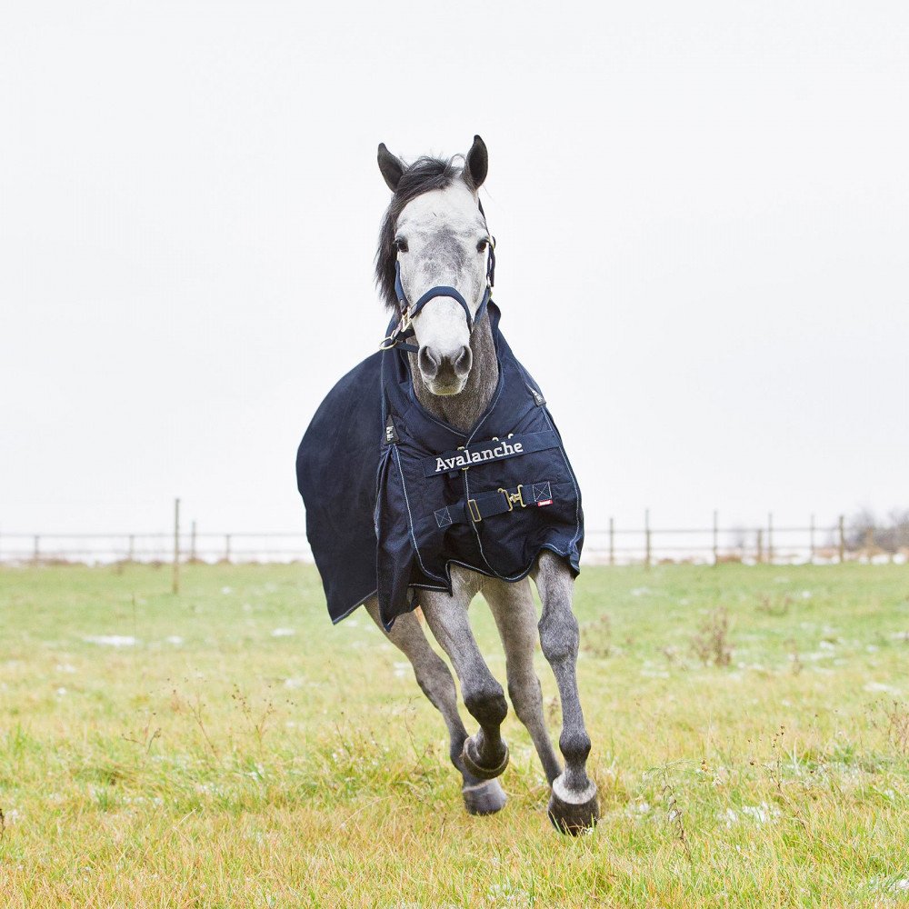 Horze Avalanche 1200D Ripstop High Neck Heavy Weight Waterproof Horse Turnout Blanket (300G Fill) - Peacoat Dark Blue - 84 In