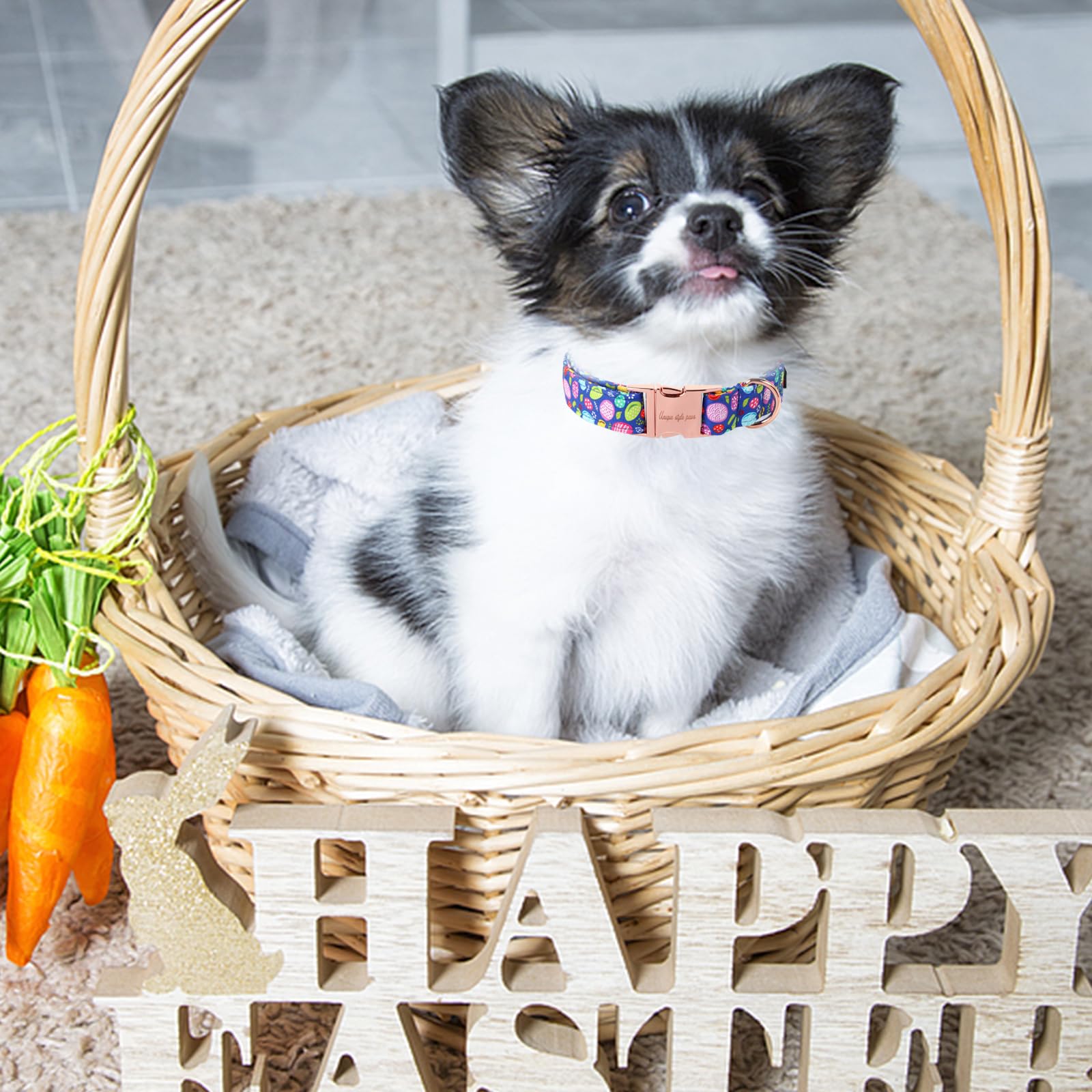 Unique Style Paws Easter Dog Collar Purple Egg Rabbit Dog Collar Cotton Pet Collar For Large Medium Small Dogs
