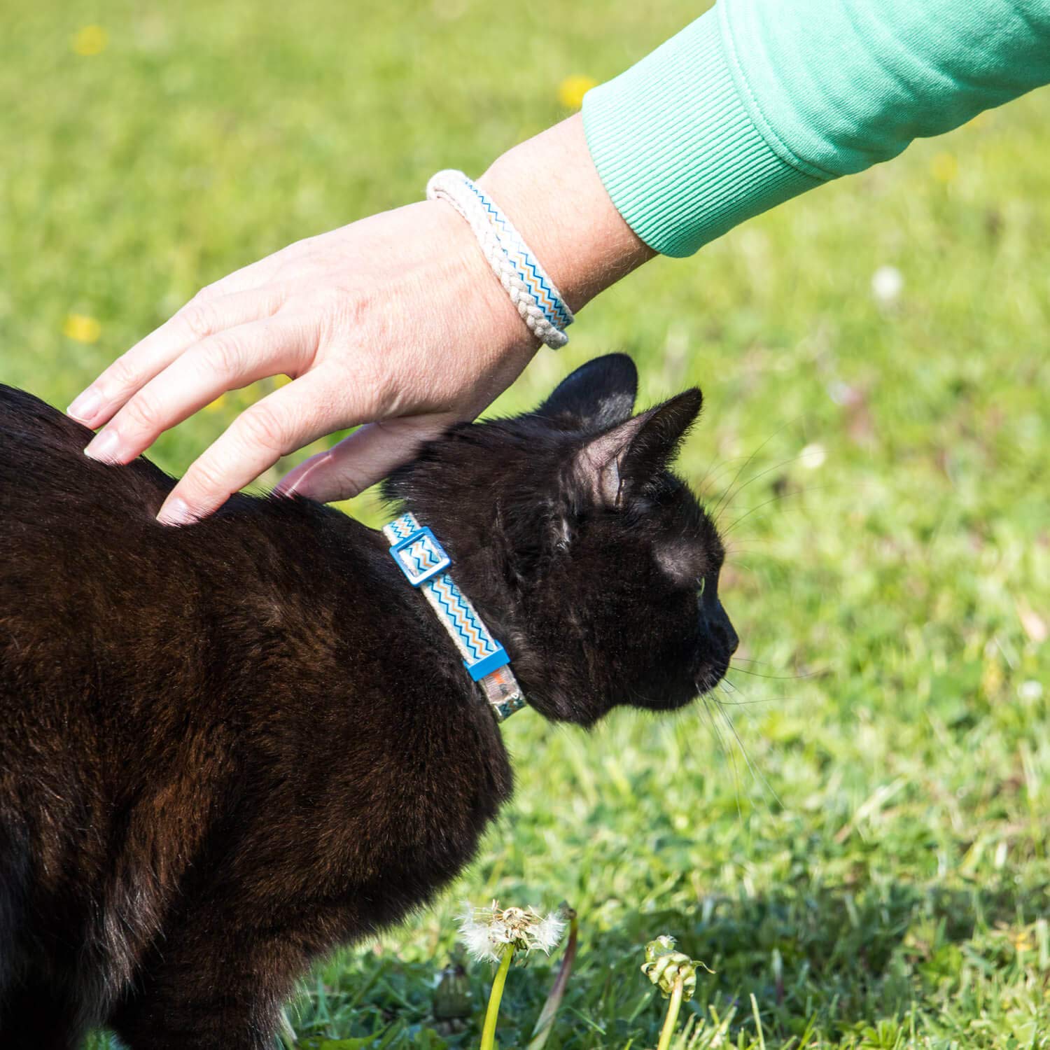 Pettsie Easy Adjustable Cat Collar Set, Safety Breakaway Buckle, Matching Friendship Bracelet, Soft Cotton For Sensitive Skin, Ideal For Kitty Lovers, Fits Neck Sizes 7.5-11.5 Inches, Blue