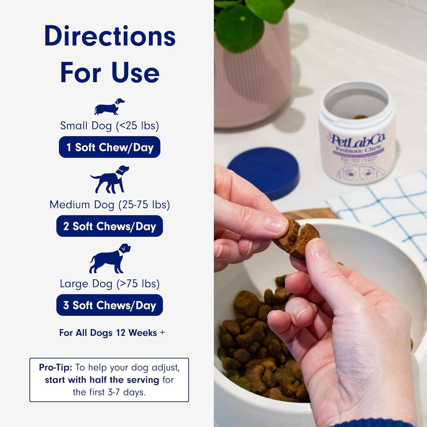 PetLab Co. Probiotics for Dogs, Support Gut Health, Occasional Diarrhea, Digestive Health & Seasonal Allergies - Pork Flavor - 3